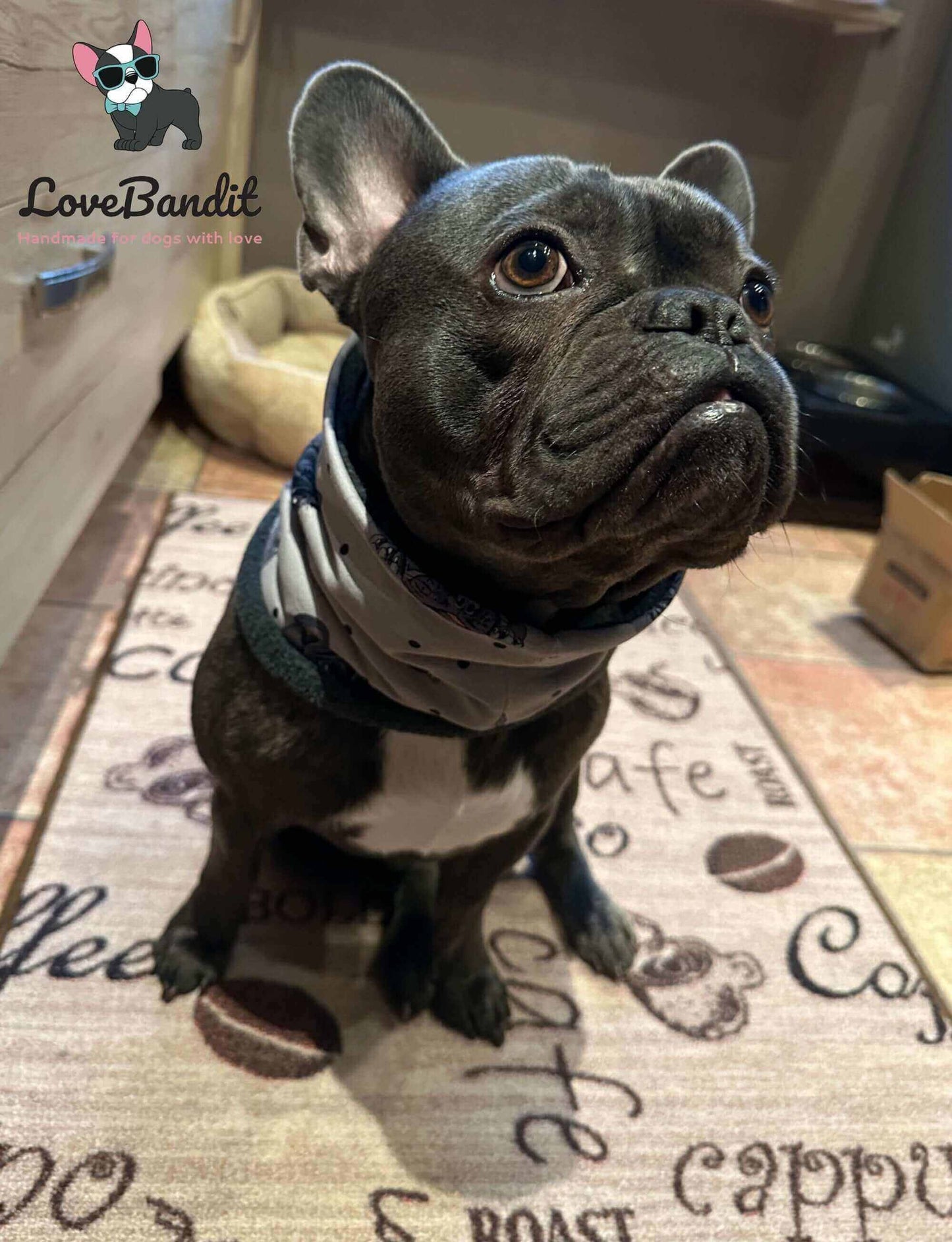 Hundeloop Hundeschal Franzoesische Bulldogge grau - LoveBandit