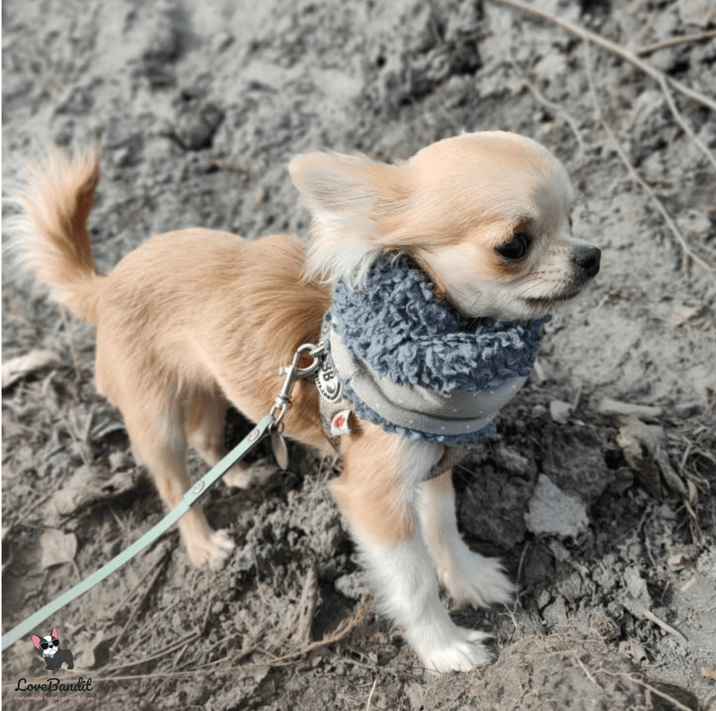 Hundeloop Hundeschal Rehliebe-altgruen-Teddy-grau-LoveBandit