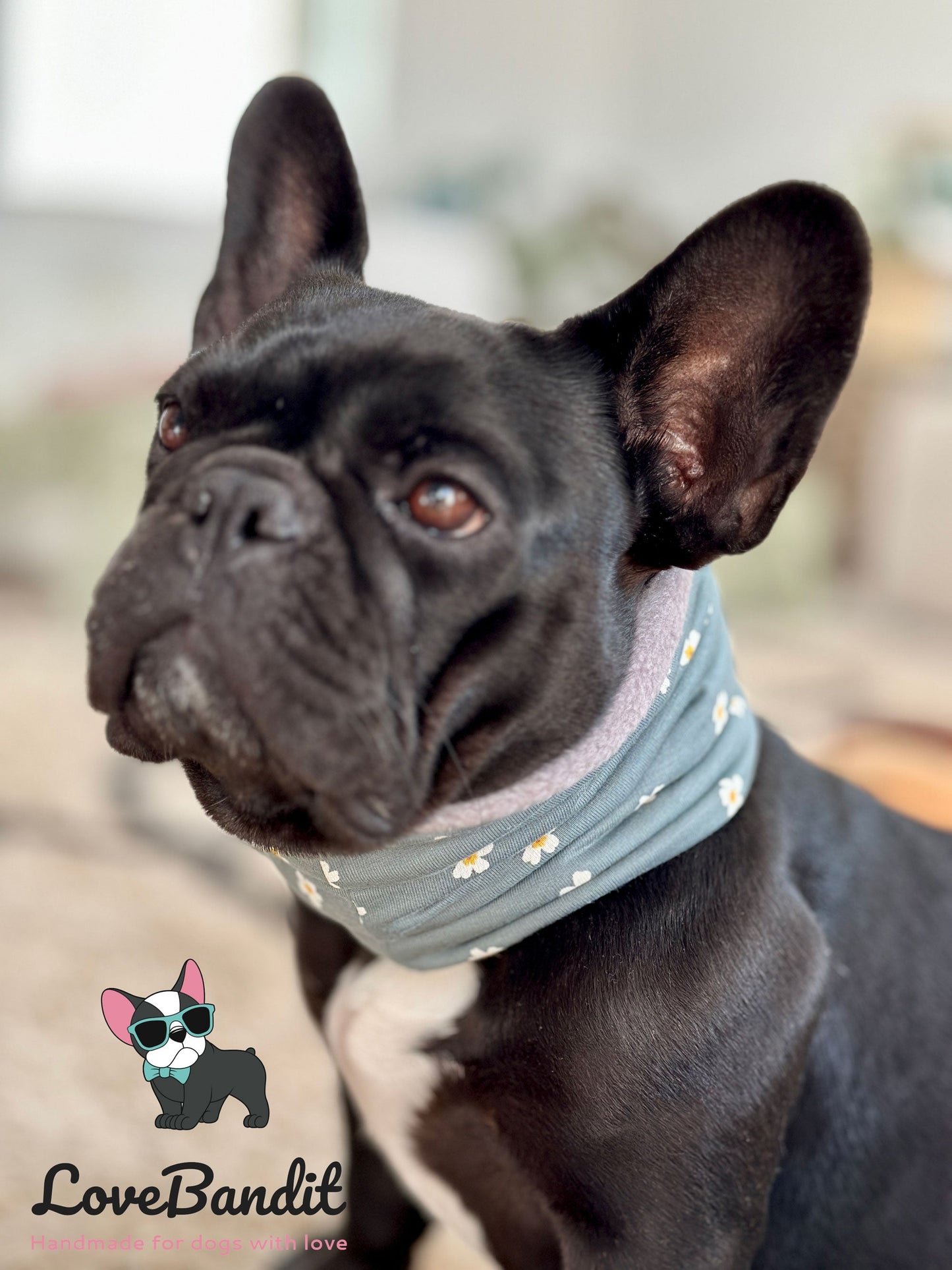 Hundeloop Hundeschal Gänseblümchen Daisy altgrün - LoveBandit