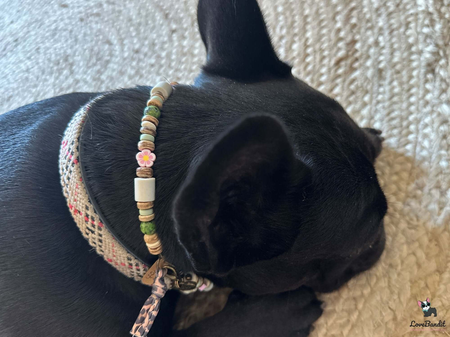 EM-Keramik Halsband Dalmatiner Jaspis Grün, Blümchen rosa - LoveBandit