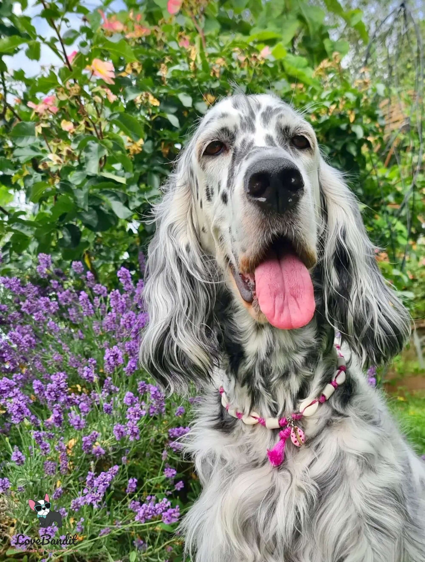 EM-Keramik Halsband Muscheln verstellbar mit Anhänger LoveBandit