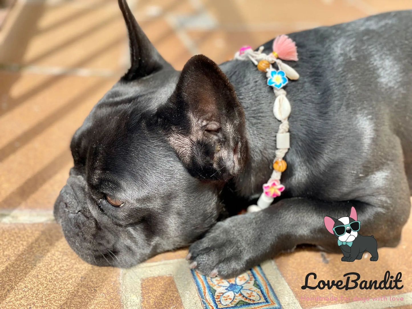 EM-Keramik Halsband Hawaiiblumen bunt Muscheln - LoveBandit