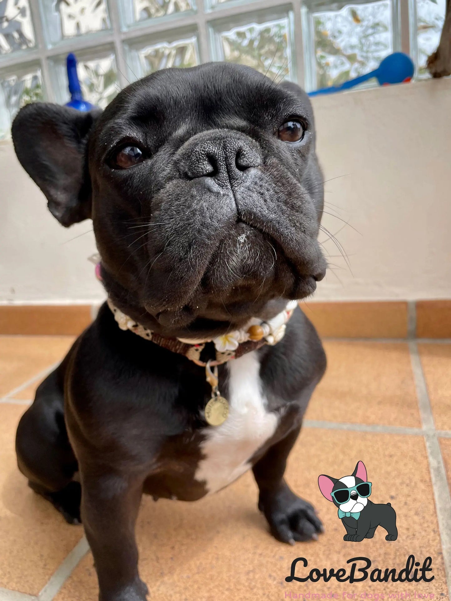 EM-Keramik Halsband Hawaiiblumen weiß - LoveBandit