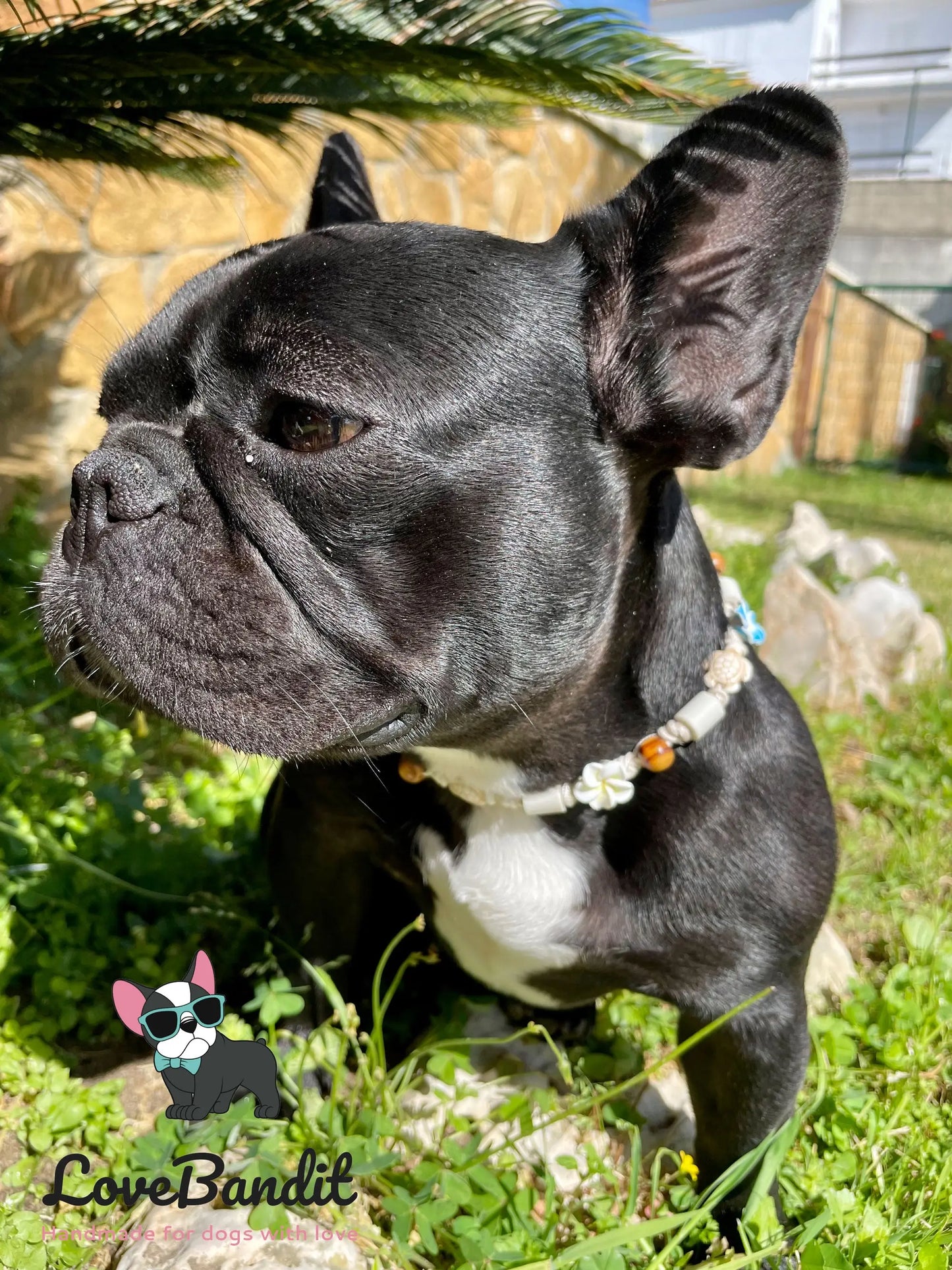 EM-Keramik Halsband bunte Hawaiiblumen - LoveBandit