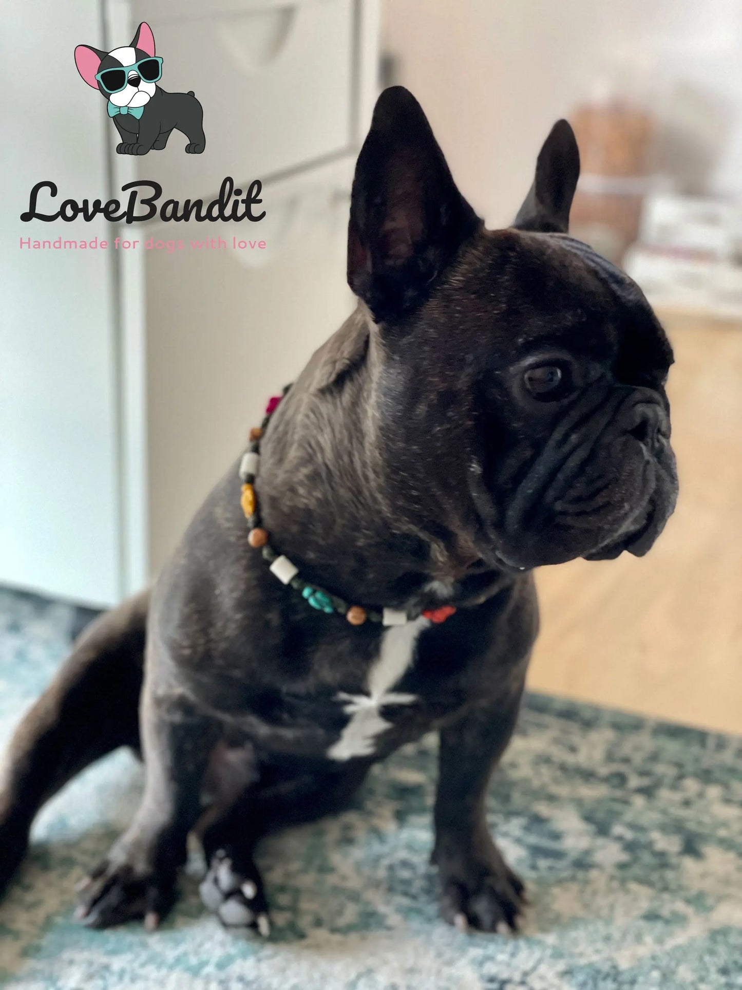EM-Keramik Halsband bunte Schildkröten Holzperlen - LoveBandit