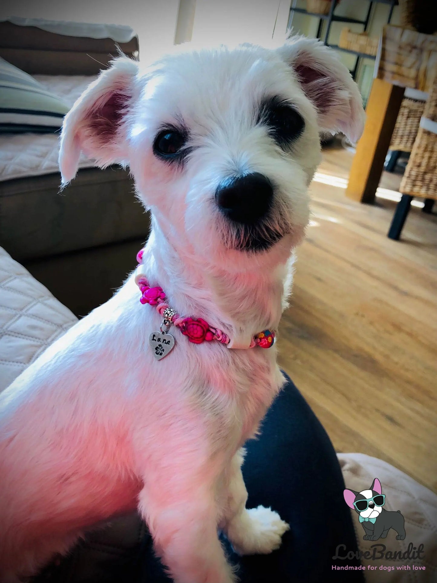 EM-Keramik Halsband Zeckenhalsband Schildkröten Pink - LoveBandit