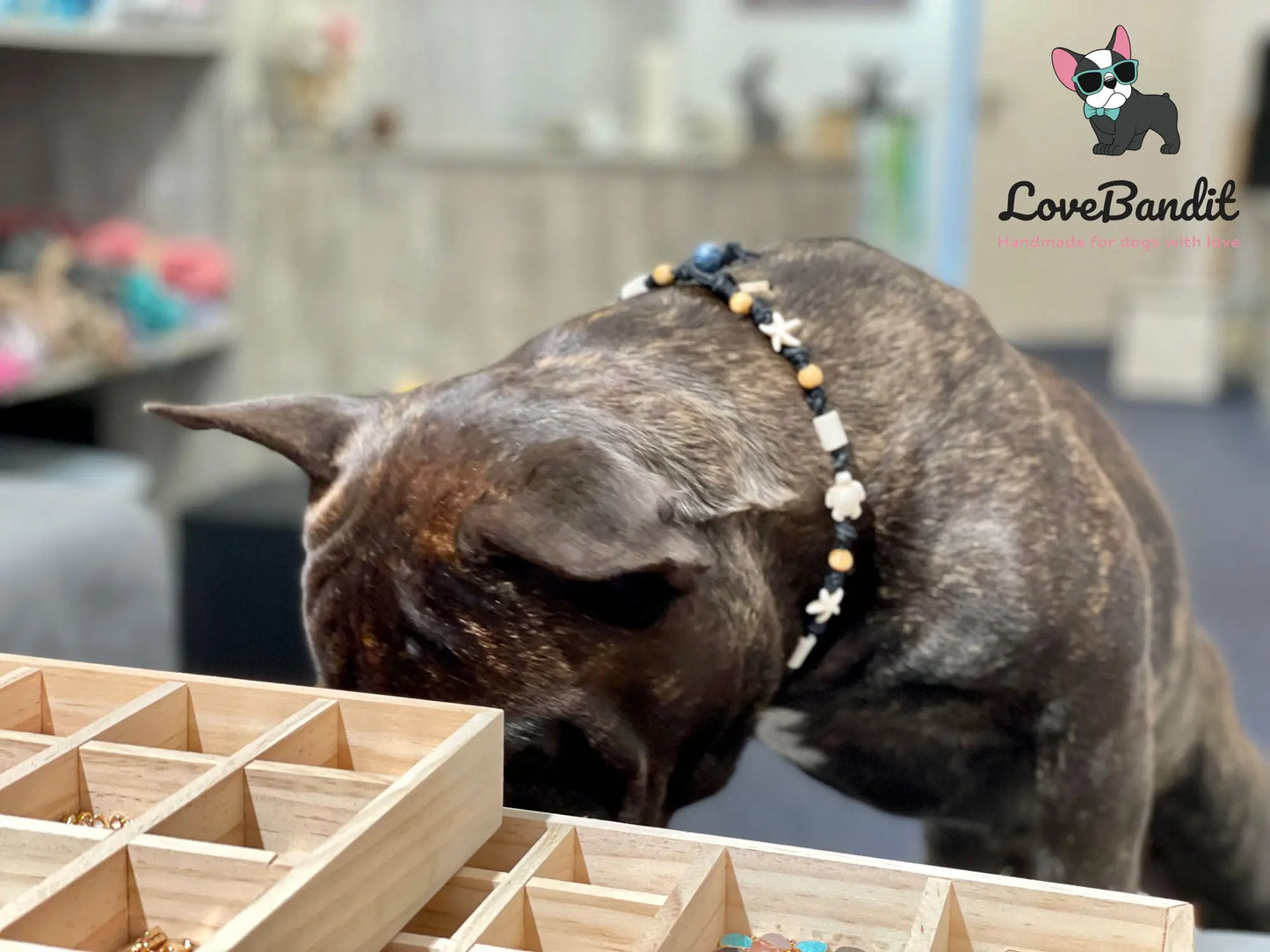 EM-Keramik Halsband Schwarz Schildkröten Seesterne - LoveBandit