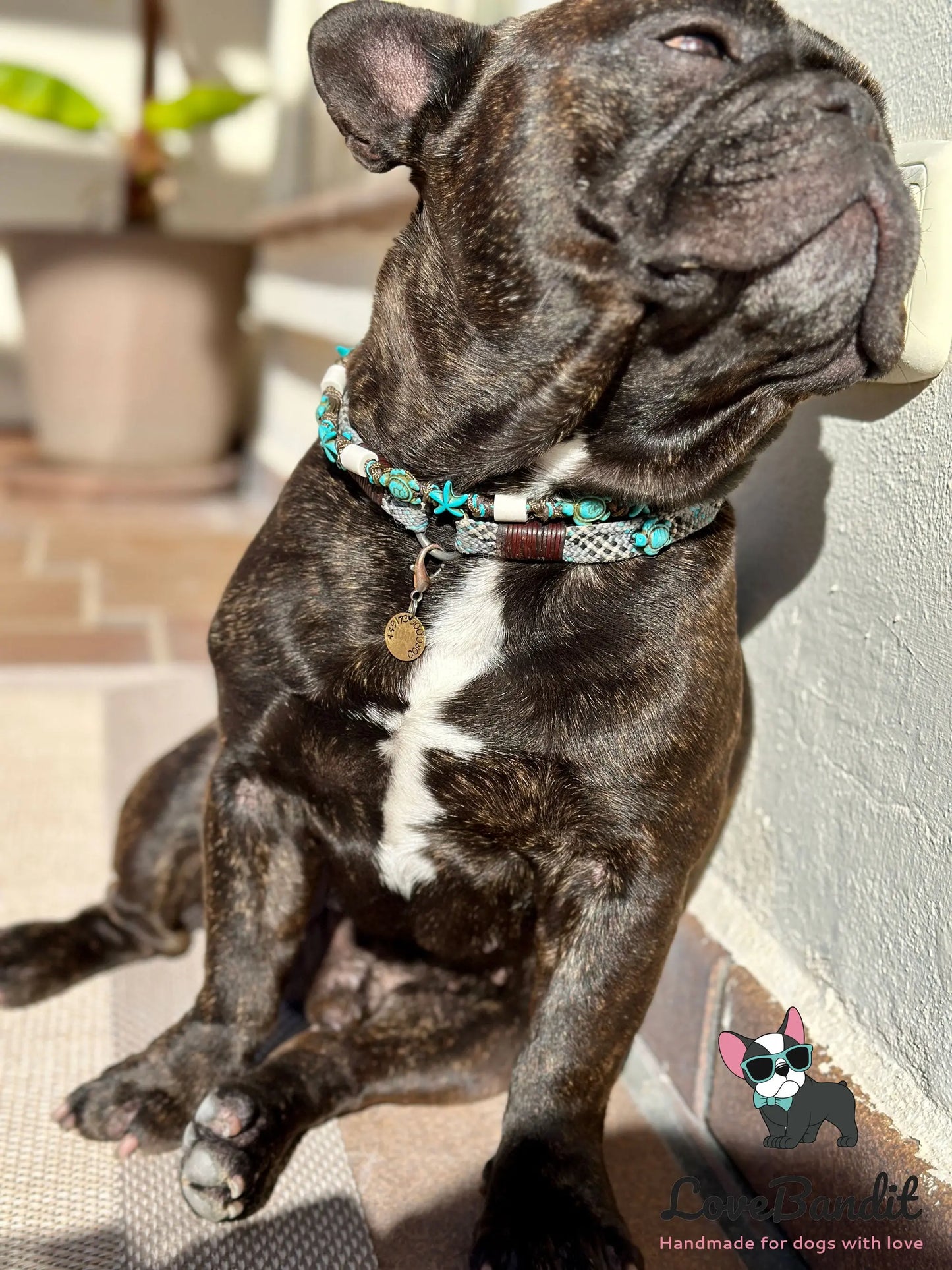 EM-Keramik Halsband Schildkröten Seesterne Türkis - LoveBandit