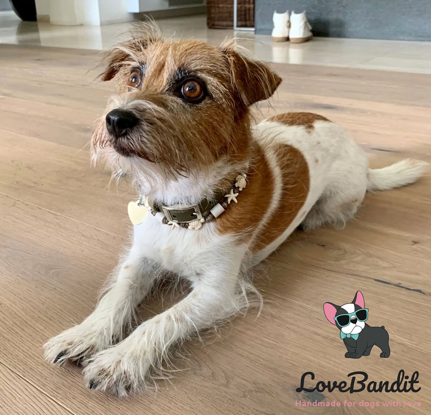 EM-Keramik Halsband Schildkröten und Seesterne natur - LoveBandit