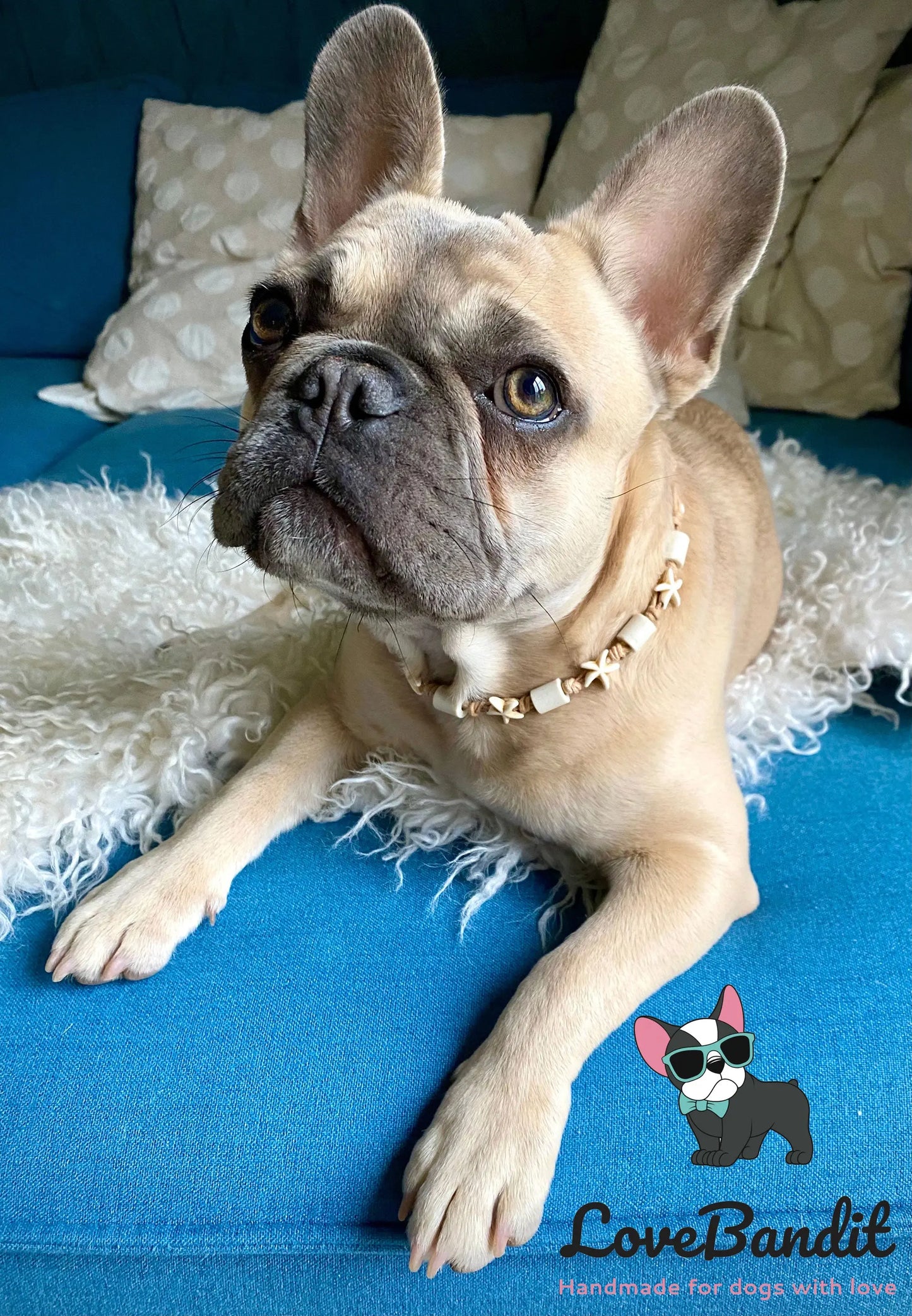 EM-Keramik Halsband Zeckenhalsband Seesterne natur - LoveBandit