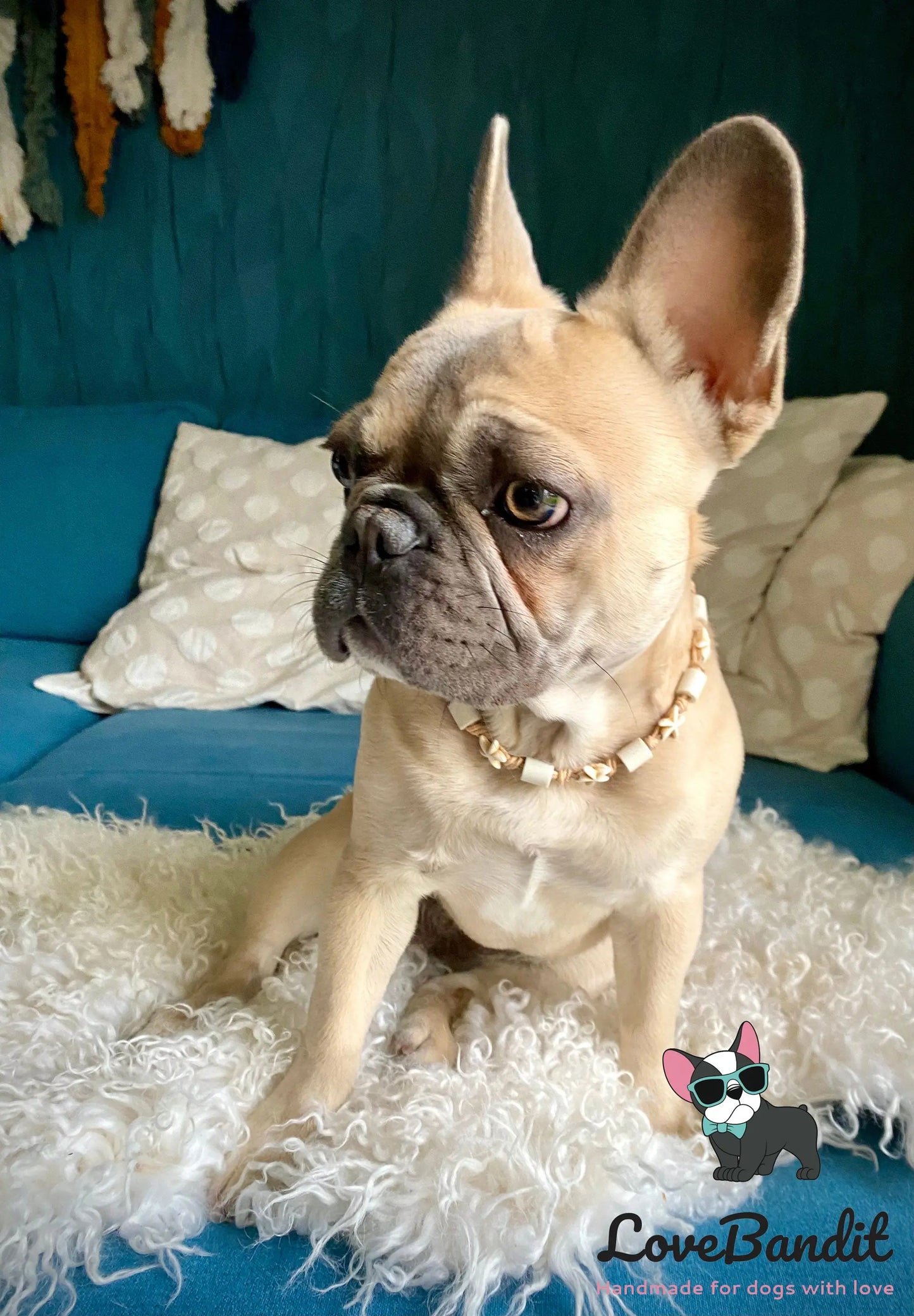 EM-Keramik Halsband Zeckenhalsband Seesterne natur - LoveBandit