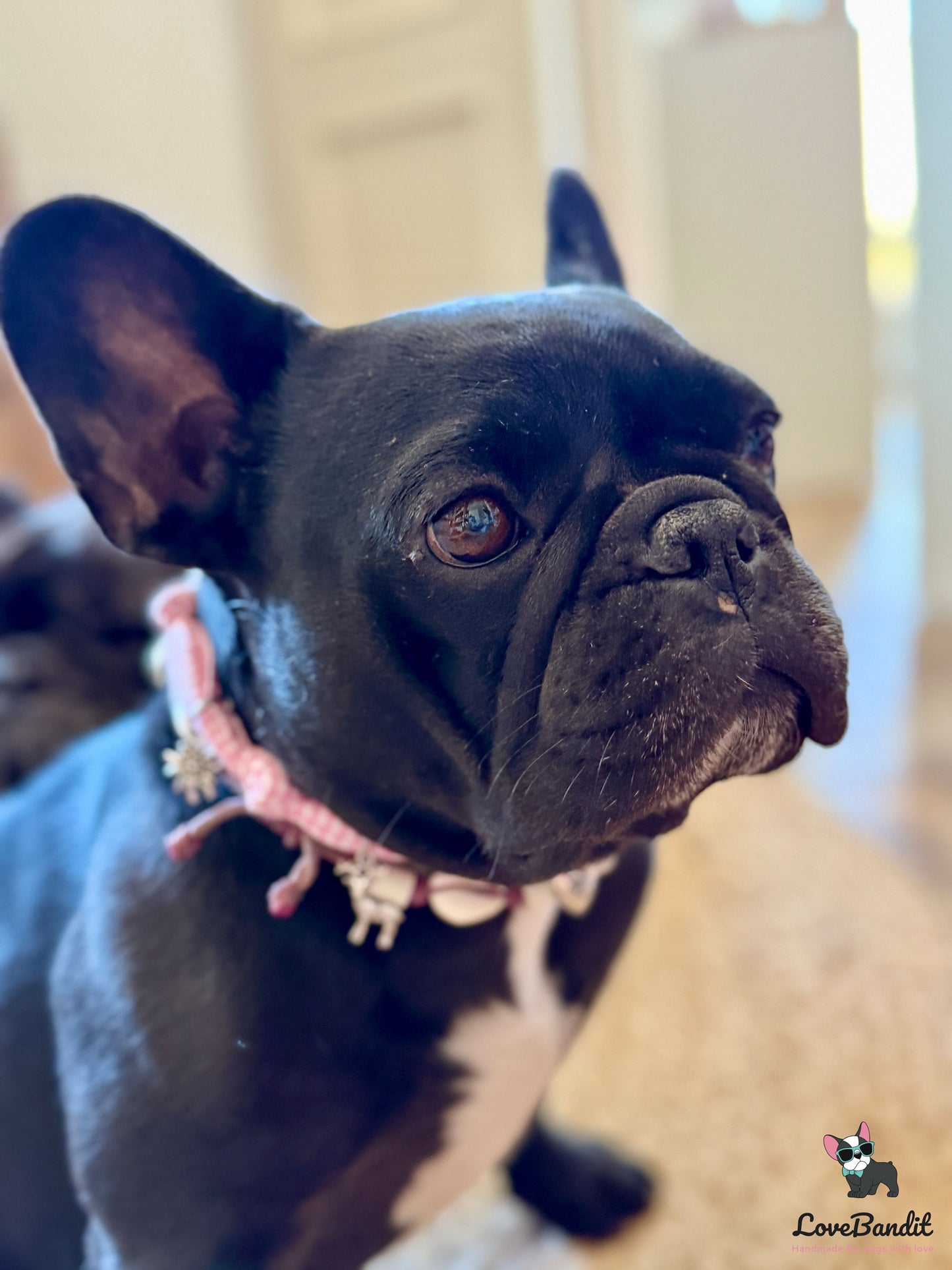 Schmuckkette für Hunde Wiesn Edition rosa Vichy-LoveBandit