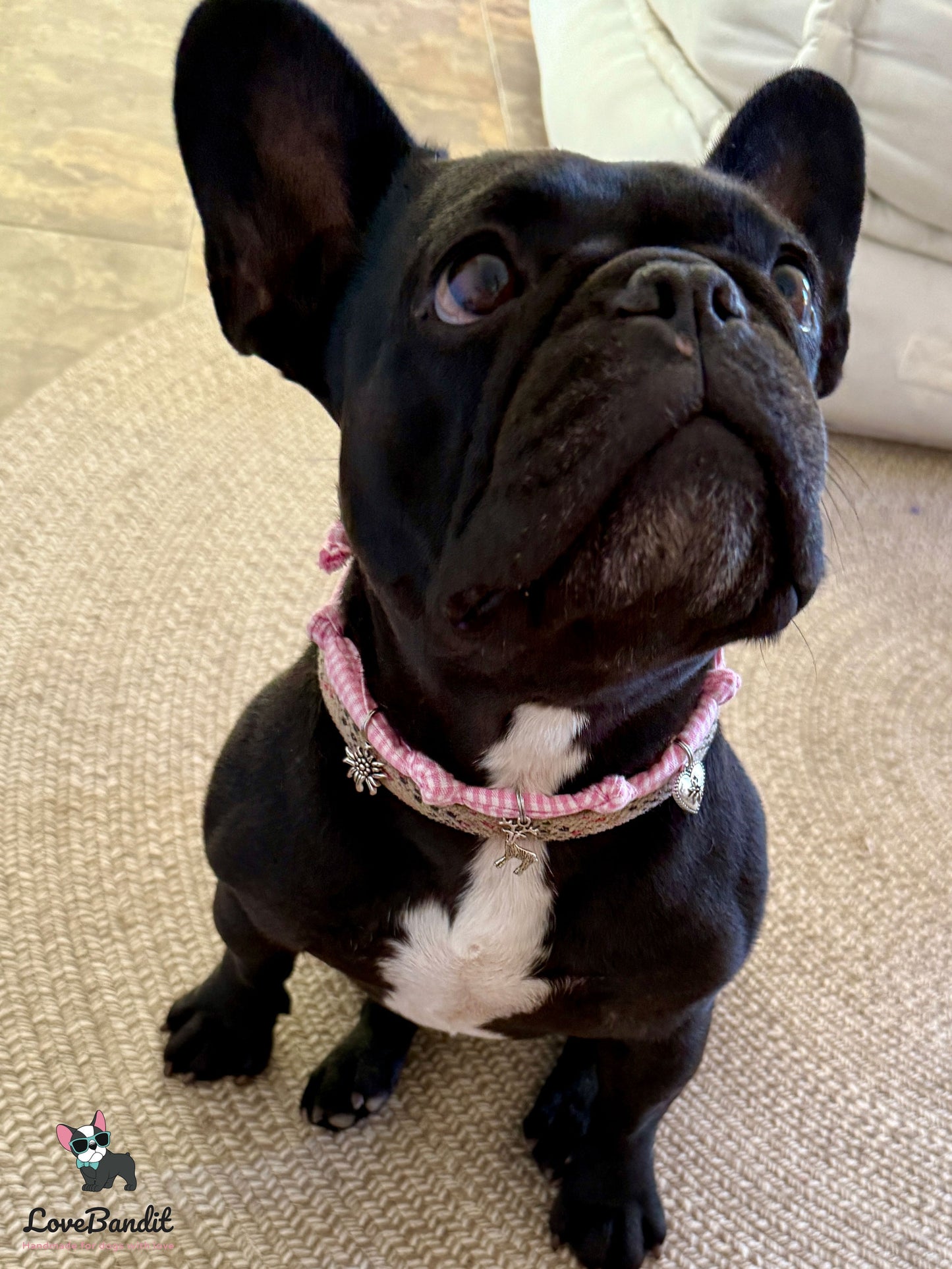 Schmuckkette für Hunde Wiesn Edition rosa Vichy-LoveBandit