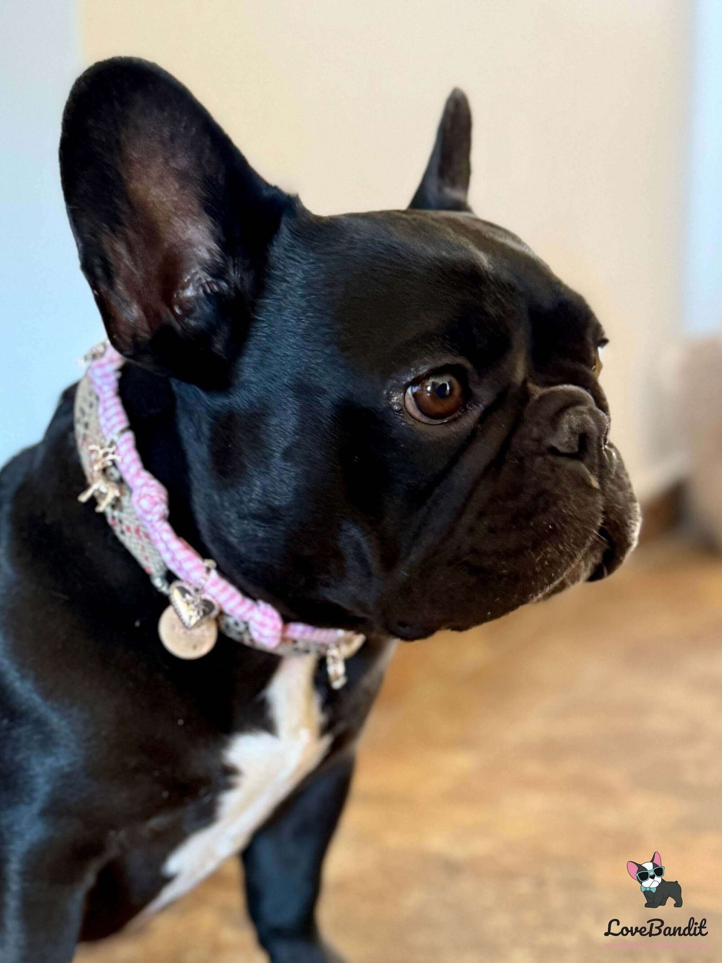 Schmuckkette für Hunde Wiesn Edition rosa Vichy-LoveBandit