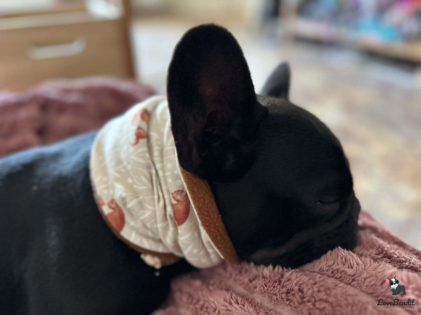 Hundeloop Hundeschal Familie Eichhoernchen-LoveBandit