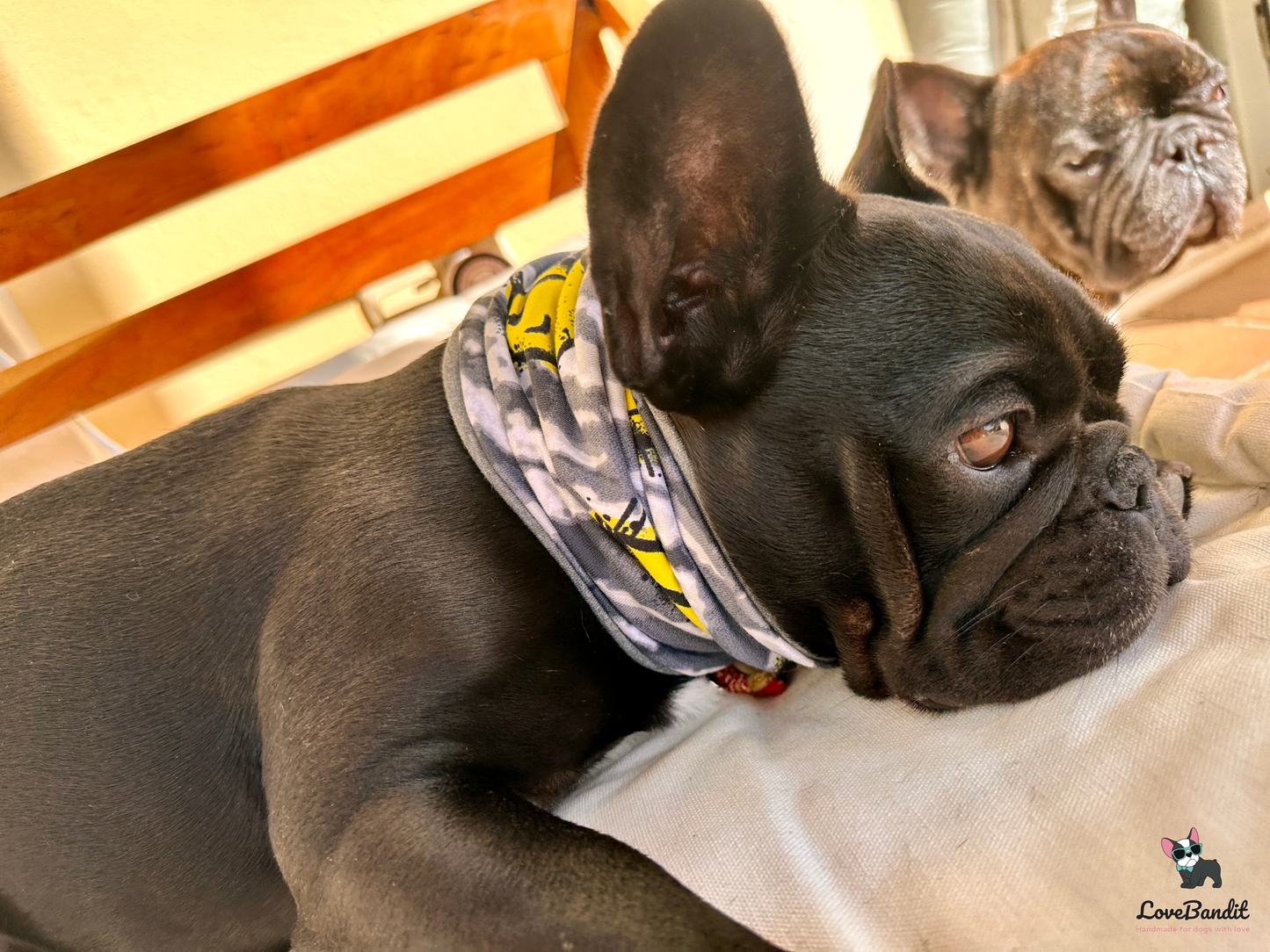 🌙 Hundeloop „Bat Night“ – Kuscheliger Loop-Schal für Hunde