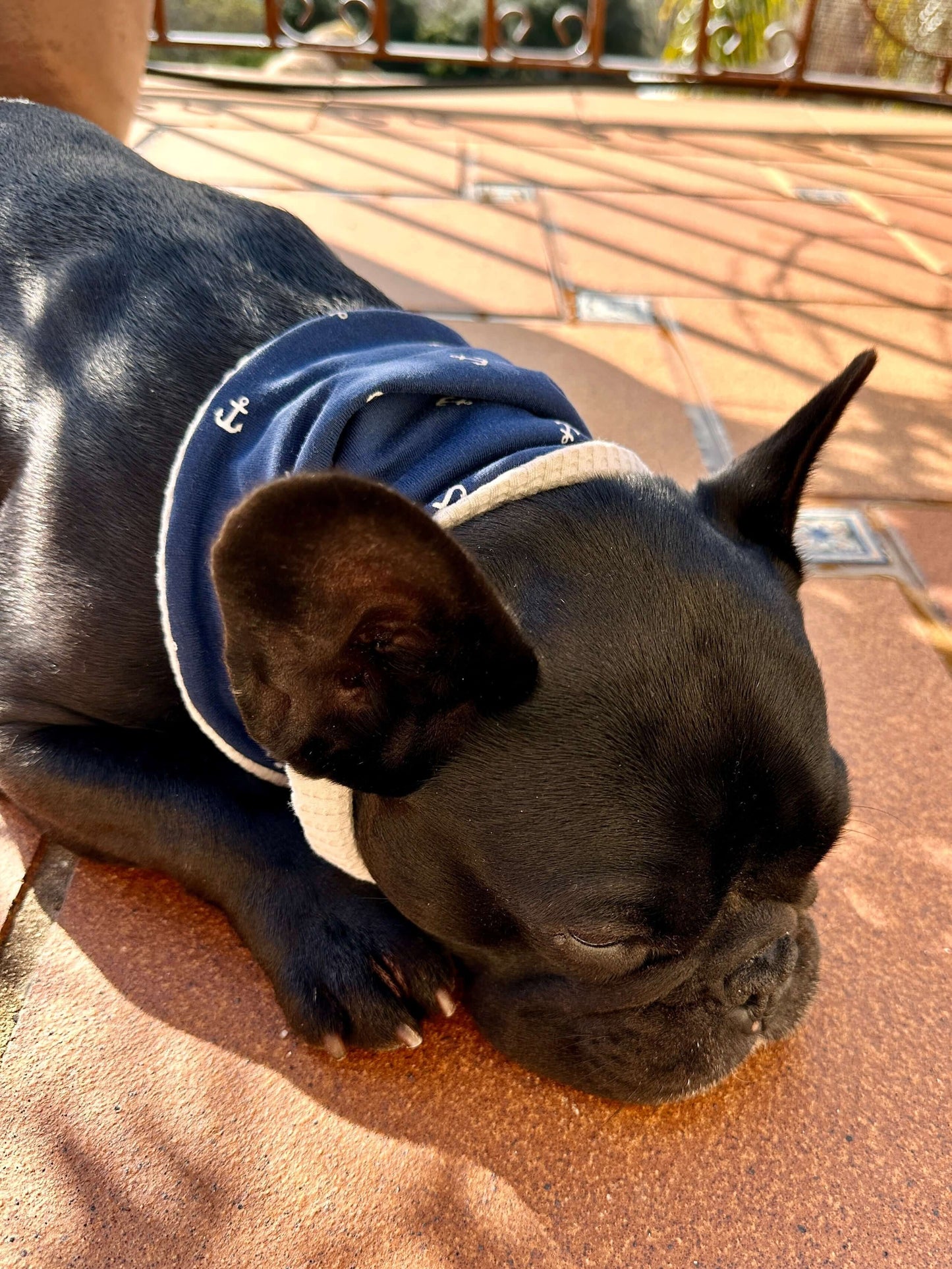 Hundeloop Hundehalstuch Frühling Sommer Anker Beige - LoveBandit