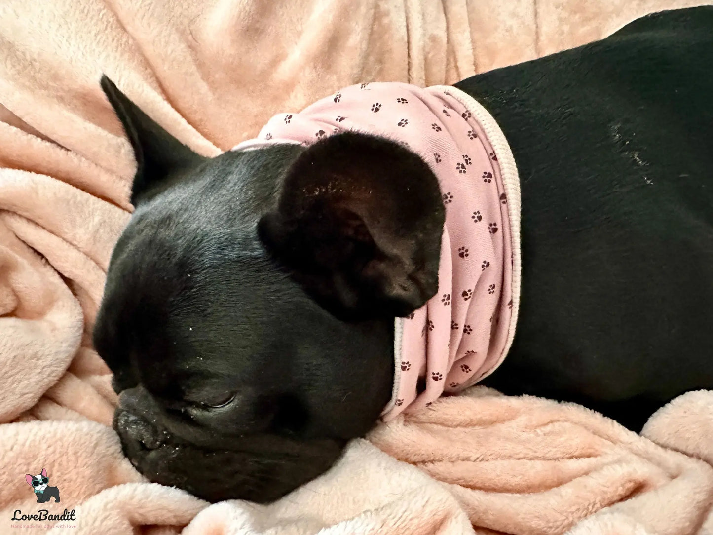 Hundeloop Hundehalstuch Frühling Sommer Pfötchen Altflieder - LoveBandit