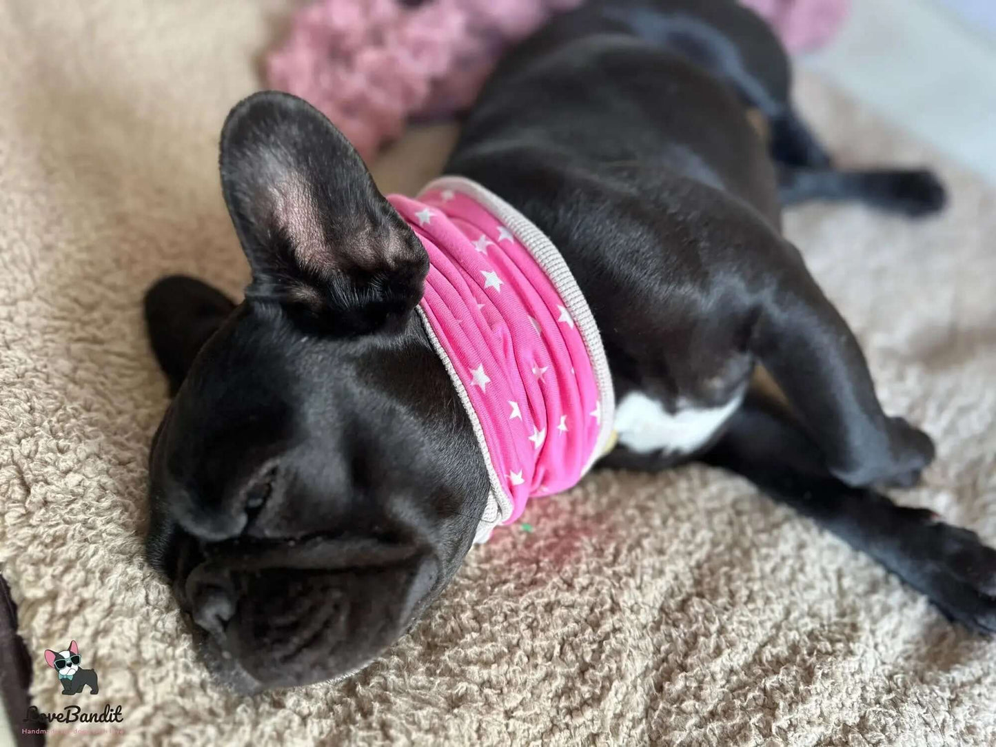 Hundeloop Hundehalstuch Frühling Sommer Seepferdchen Apricot - LoveBandit