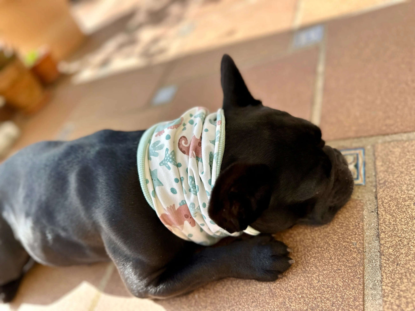 Hundeloop Hundehalstuch Frühling Sommer Krabben - LoveBandit