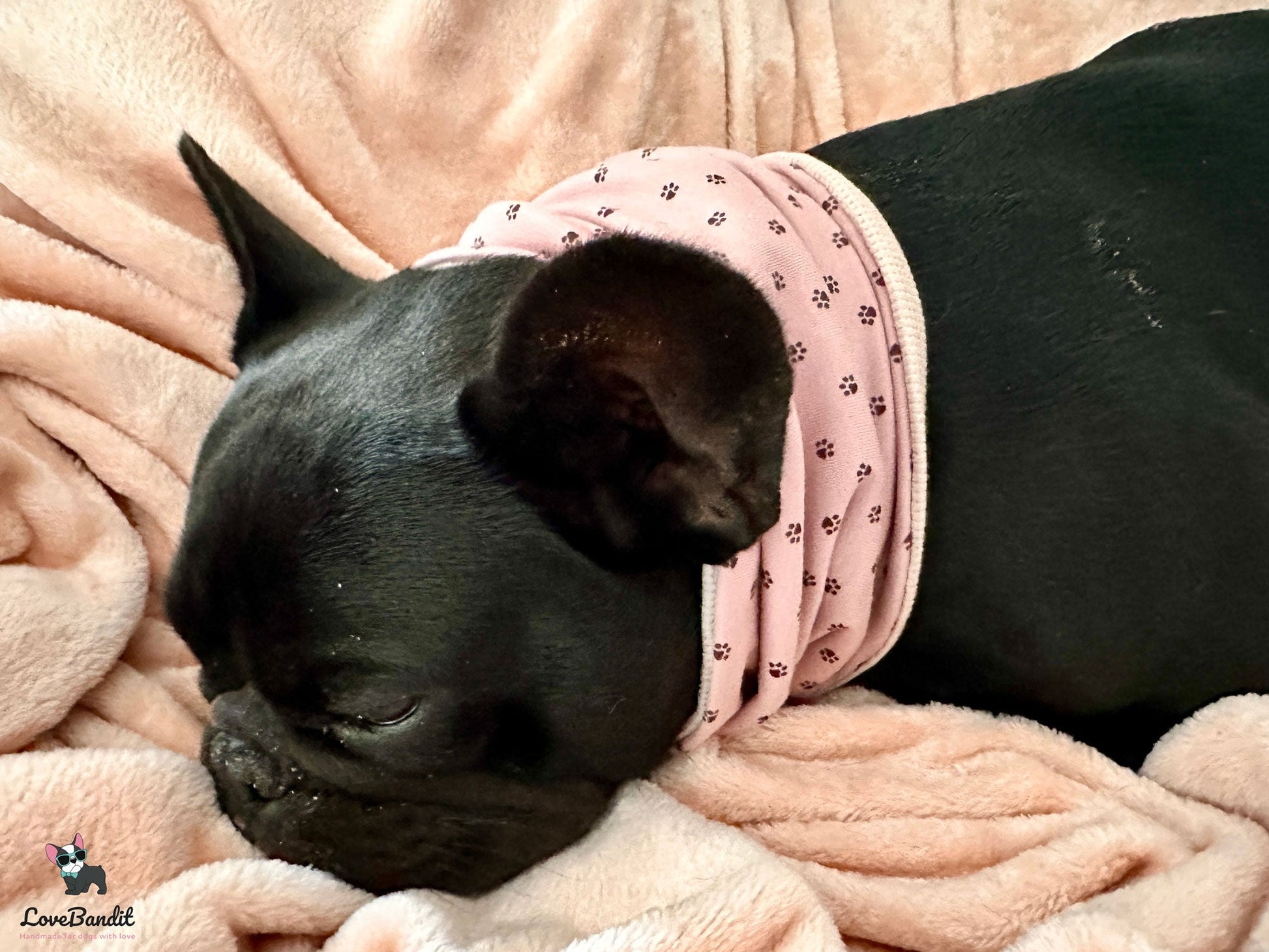 Hundeloop Hundehalstuch Frühling Sommer Sterne Hellpink - LoveBandit
