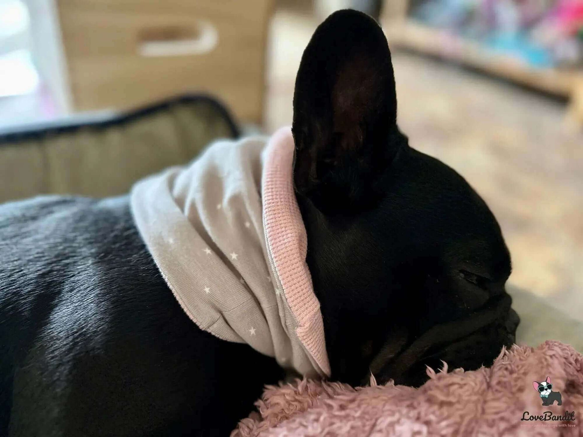 Hundeloop Hundehalstuch Frühling Sommer Sterne Hellpink - LoveBandit