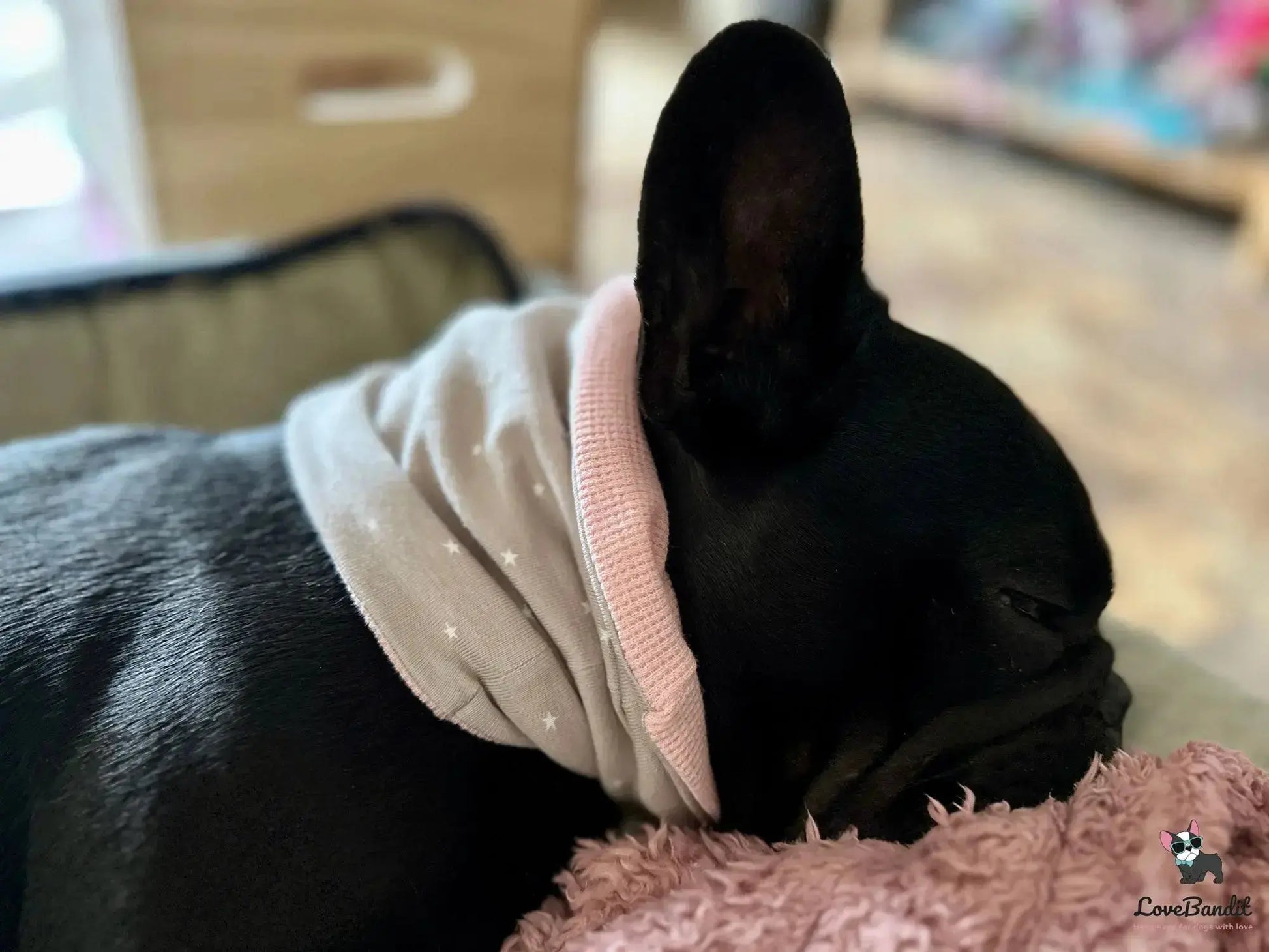 Hundeloop Hundehalstuch Frühling Sommer Seesterne Mint - LoveBandit