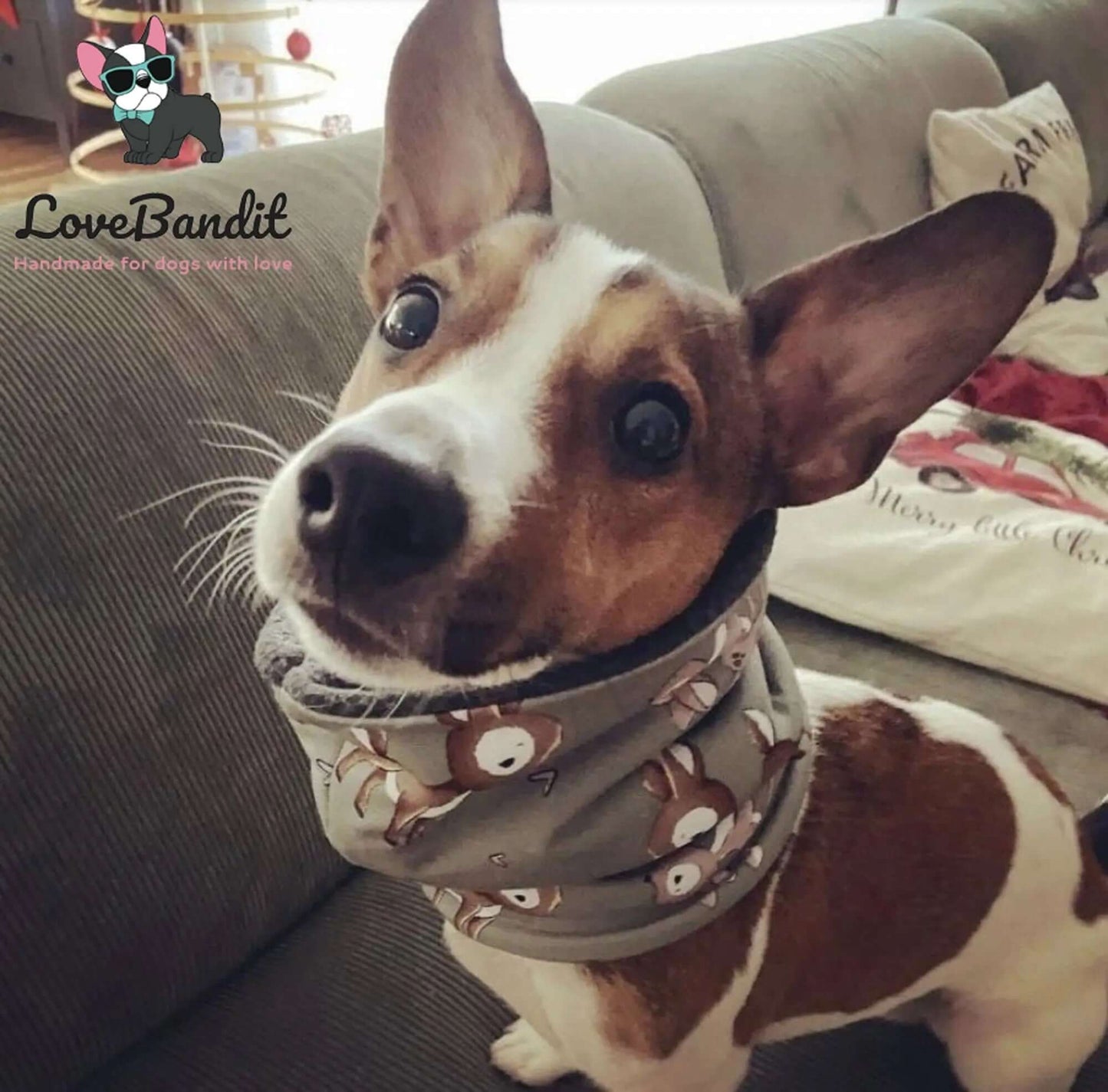 Hundeloop Hundeschal Mini Sterne altflieder - LoveBandit