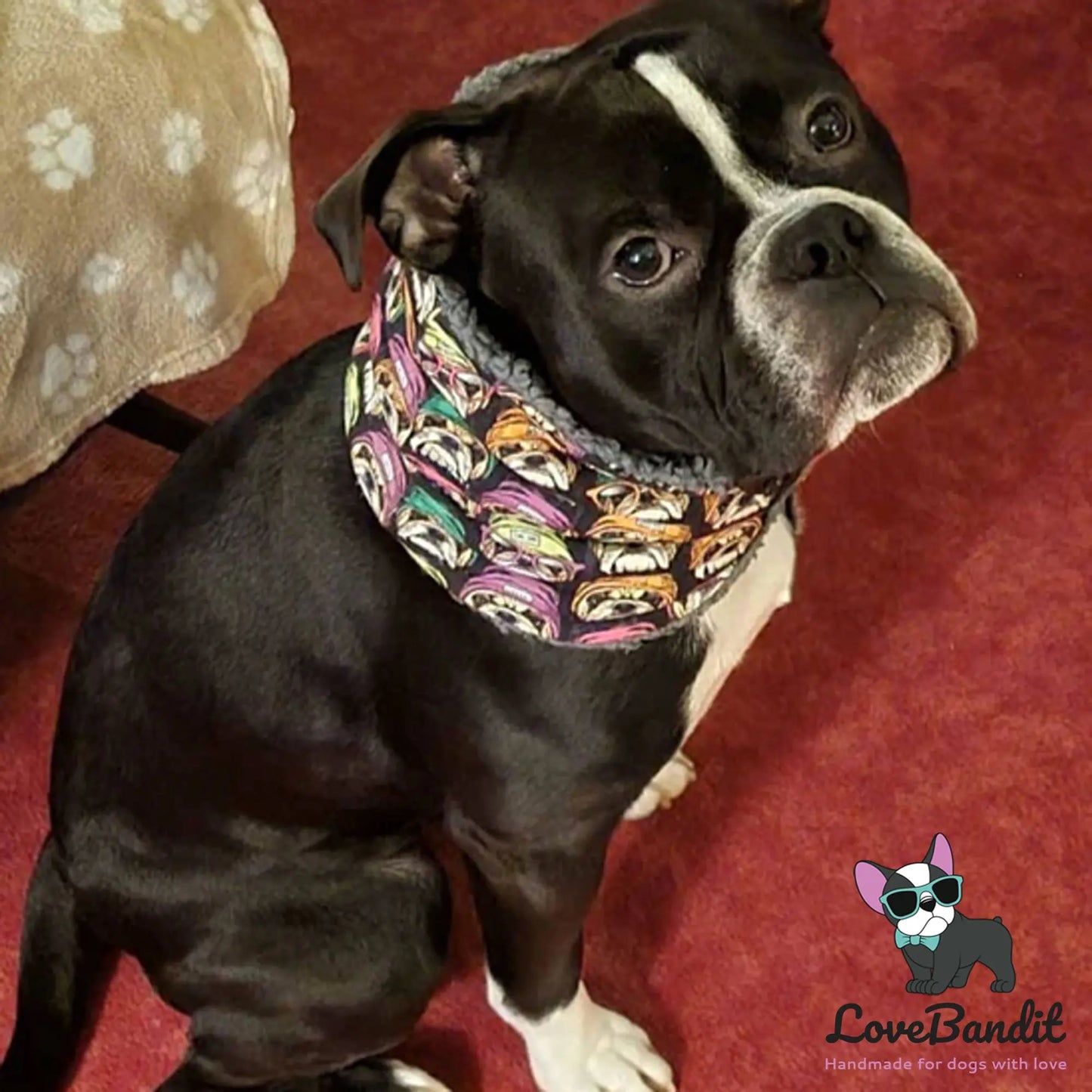 Hundeloop Hundeschal Bulldog Neon Schwarz - LoveBandit