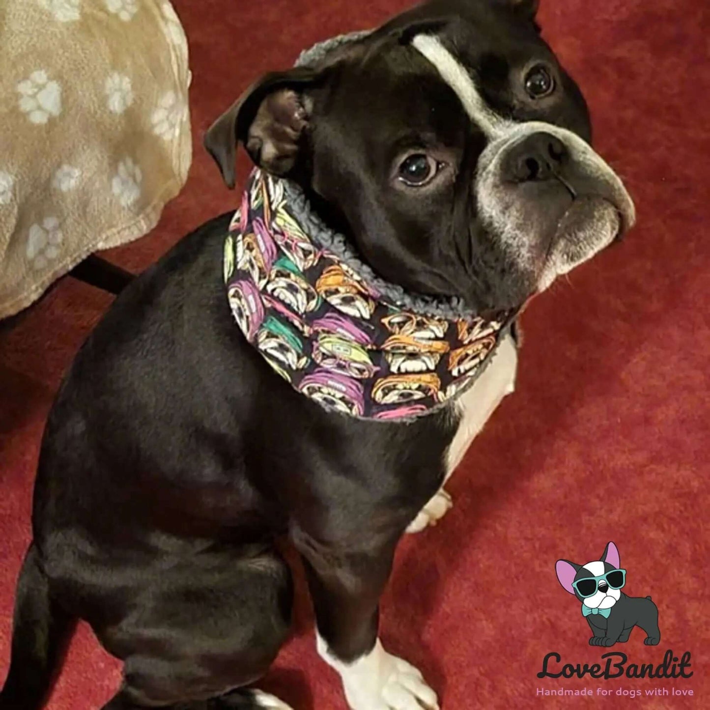 Hundeloop Hundeschal Bulldog Neon Schwarz - LoveBandit