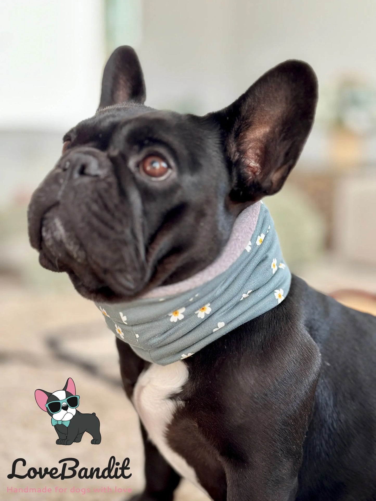 Hundeloop Hundeschal Französische Bulldogge Dots Grau - LoveBandit