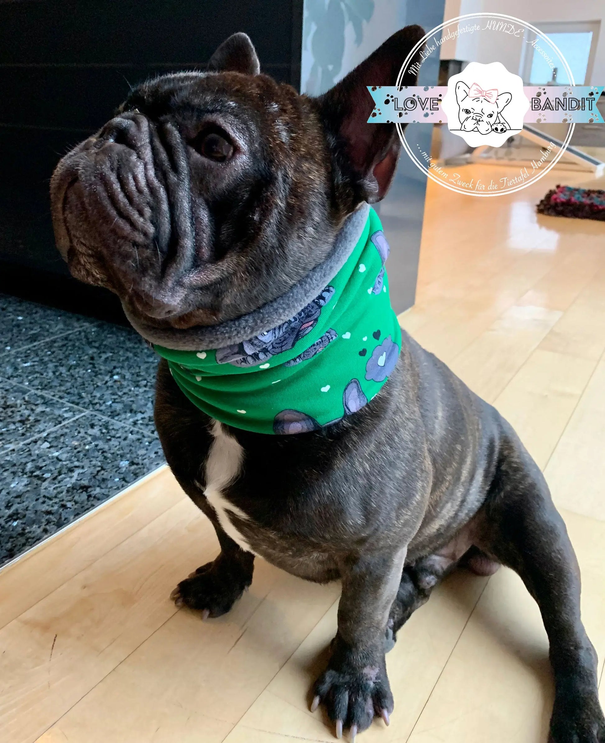 Hundeloop Hundeschal Französische Bulldogge Grün - LoveBandit