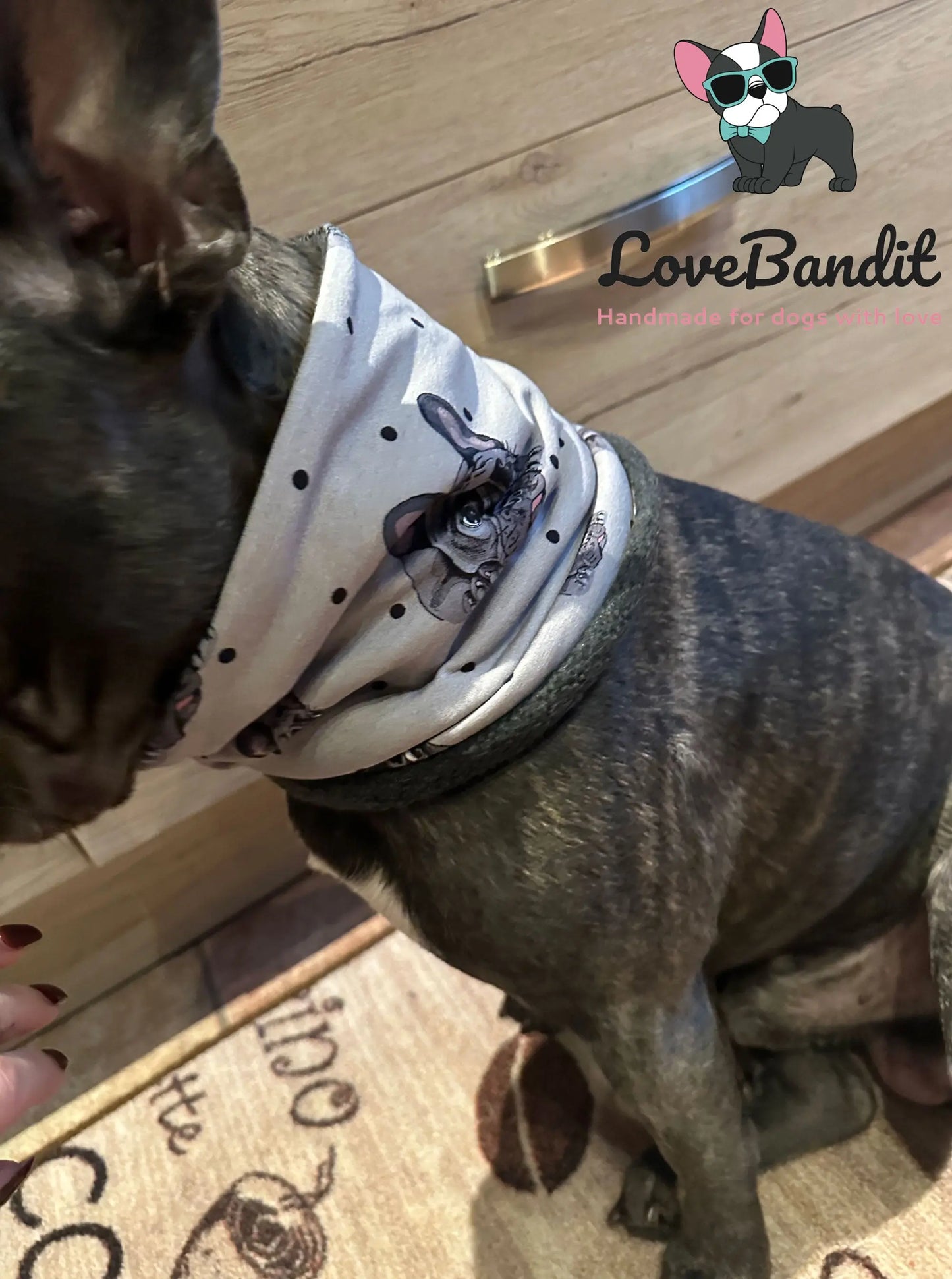 Hundeloop Hundeschal Französische Bulldogge Grün - LoveBandit