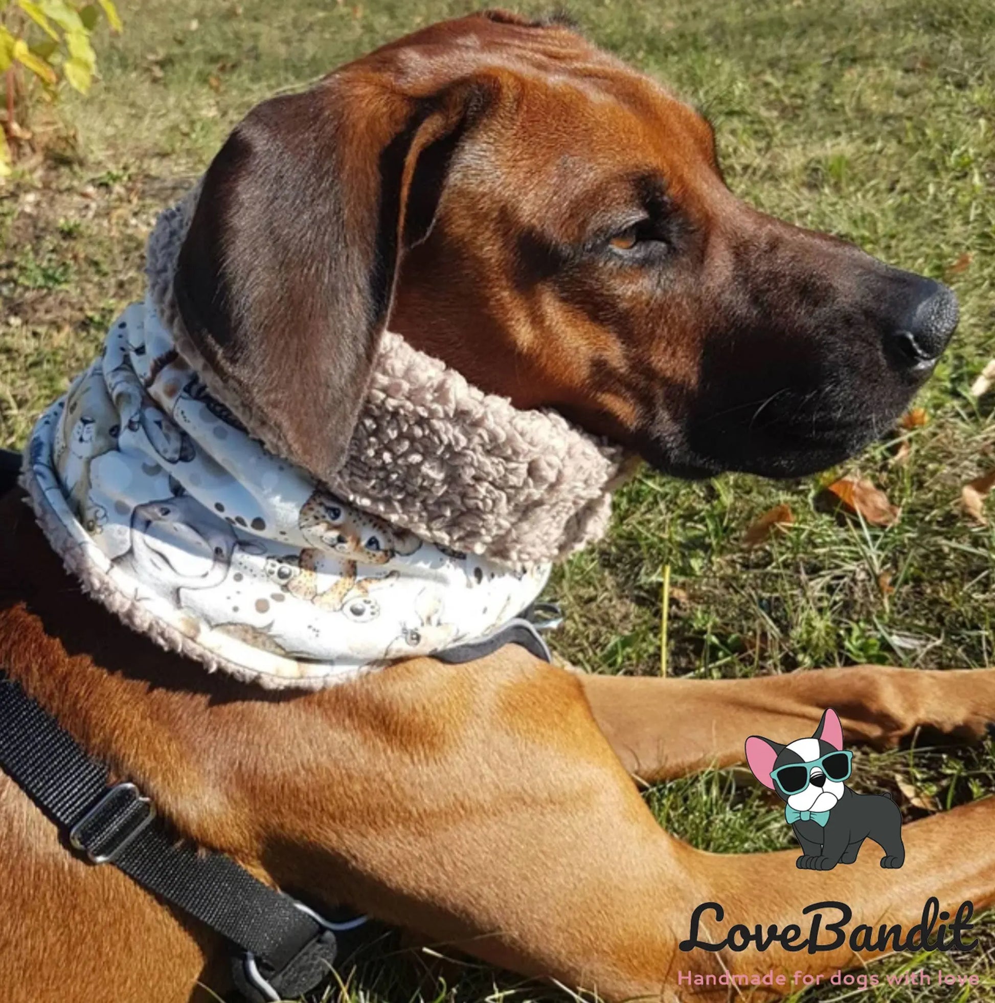 Hundeloop Hundeschal Freches Monster Regenbogen - LoveBandit