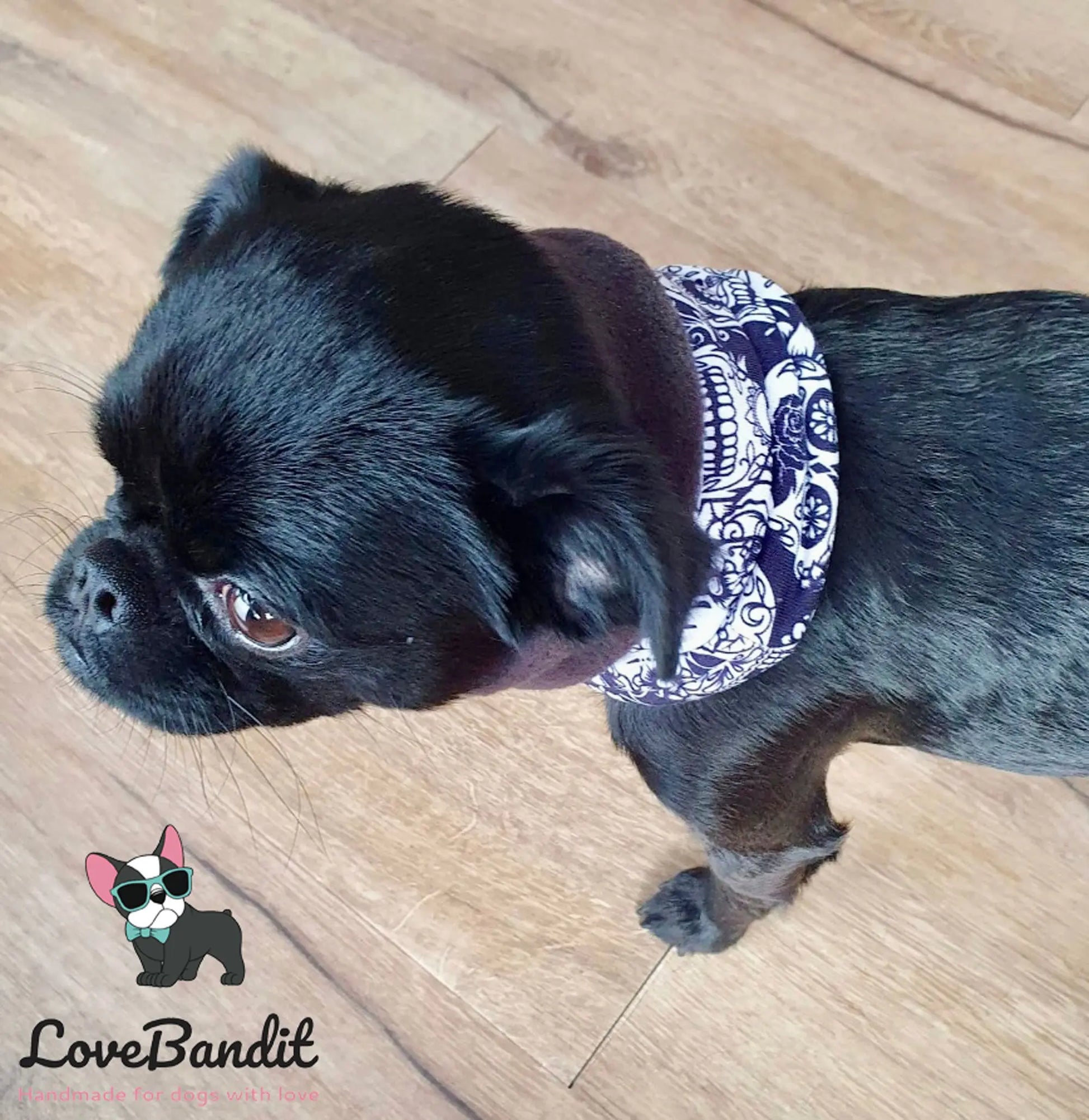 Hundeloop Hundeschal Freches Monster Regenbogen - LoveBandit