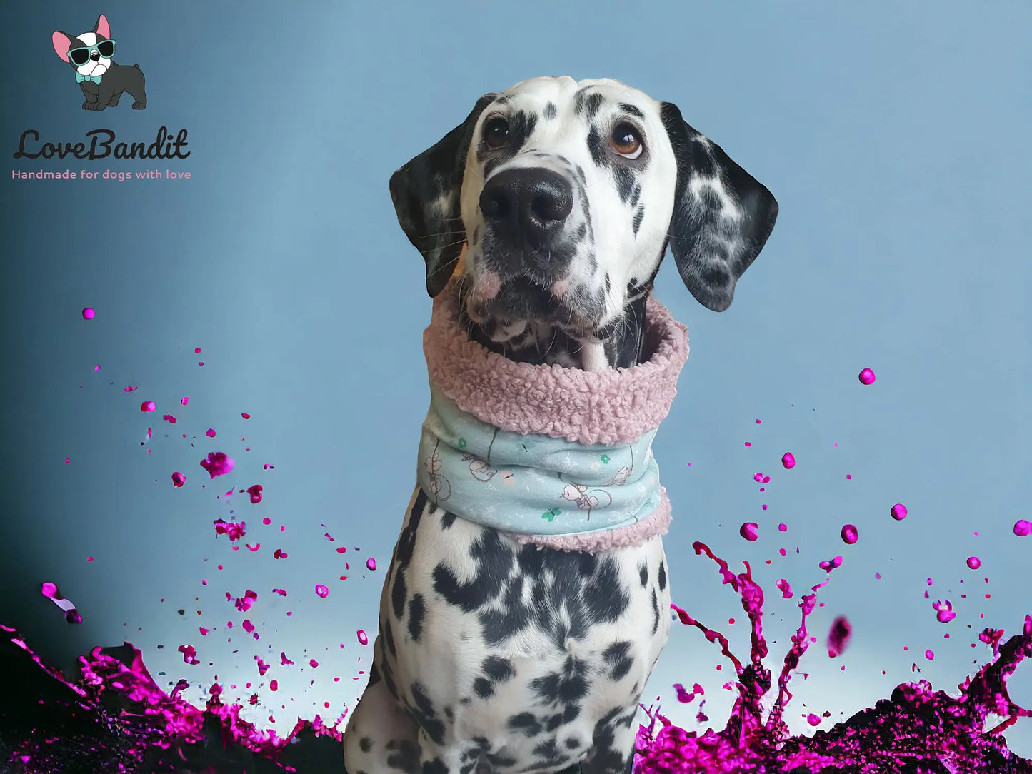Hundeloop Hundeschal Mini Sterne Taupe - LoveBandit
