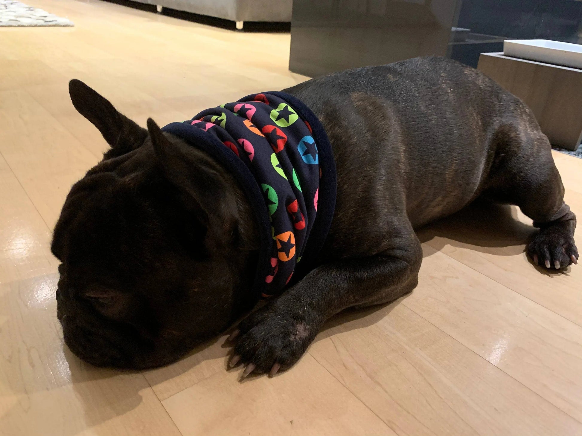 Hundeloop Hundeschal Sterne Neon Dunkelblau - LoveBandit