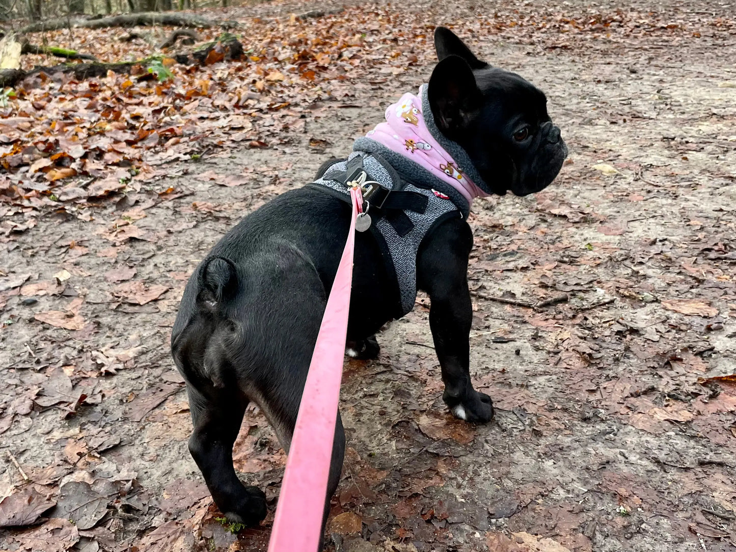 Hundeloop Hundeschal Rehkitz Häschen Blümchen rosa - LoveBandit