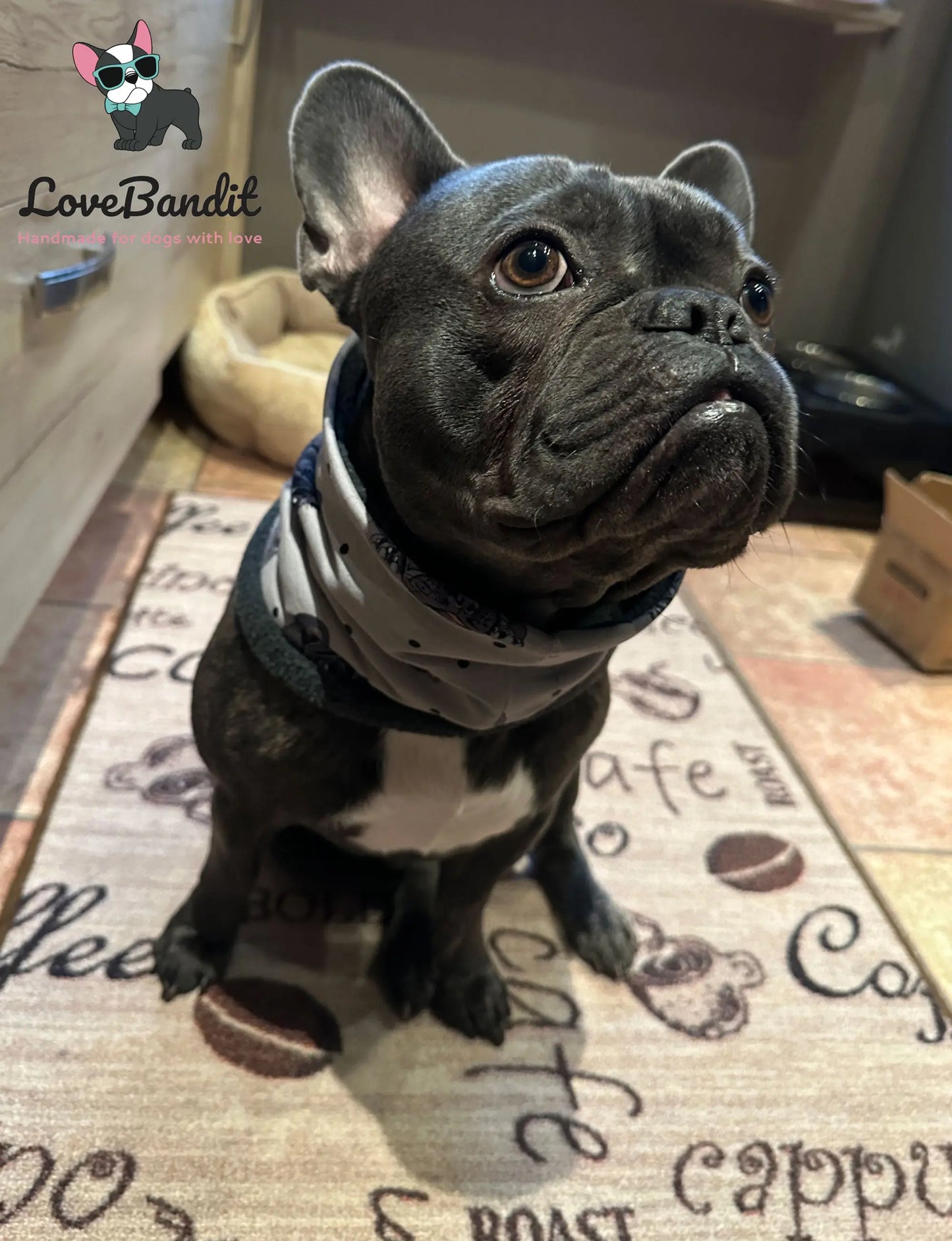 Hundeloop Hundeschal Hunde Loop Smiley oliv - LoveBandit
