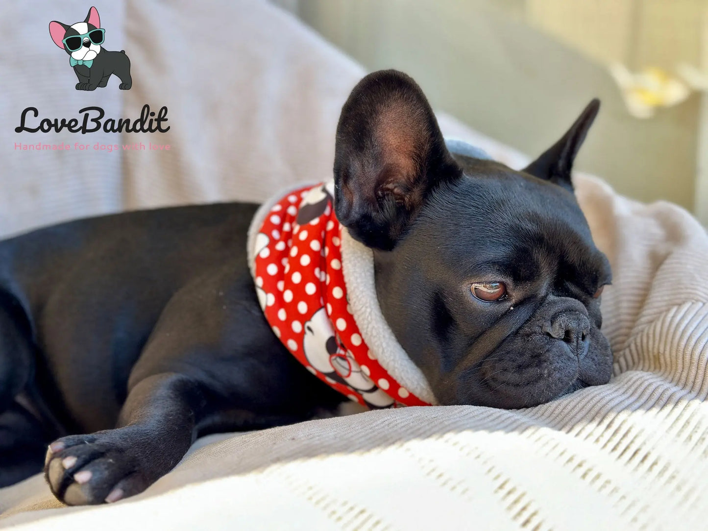 Hundeloop Hundeschal Tiere im Wald Grau - LoveBandit
