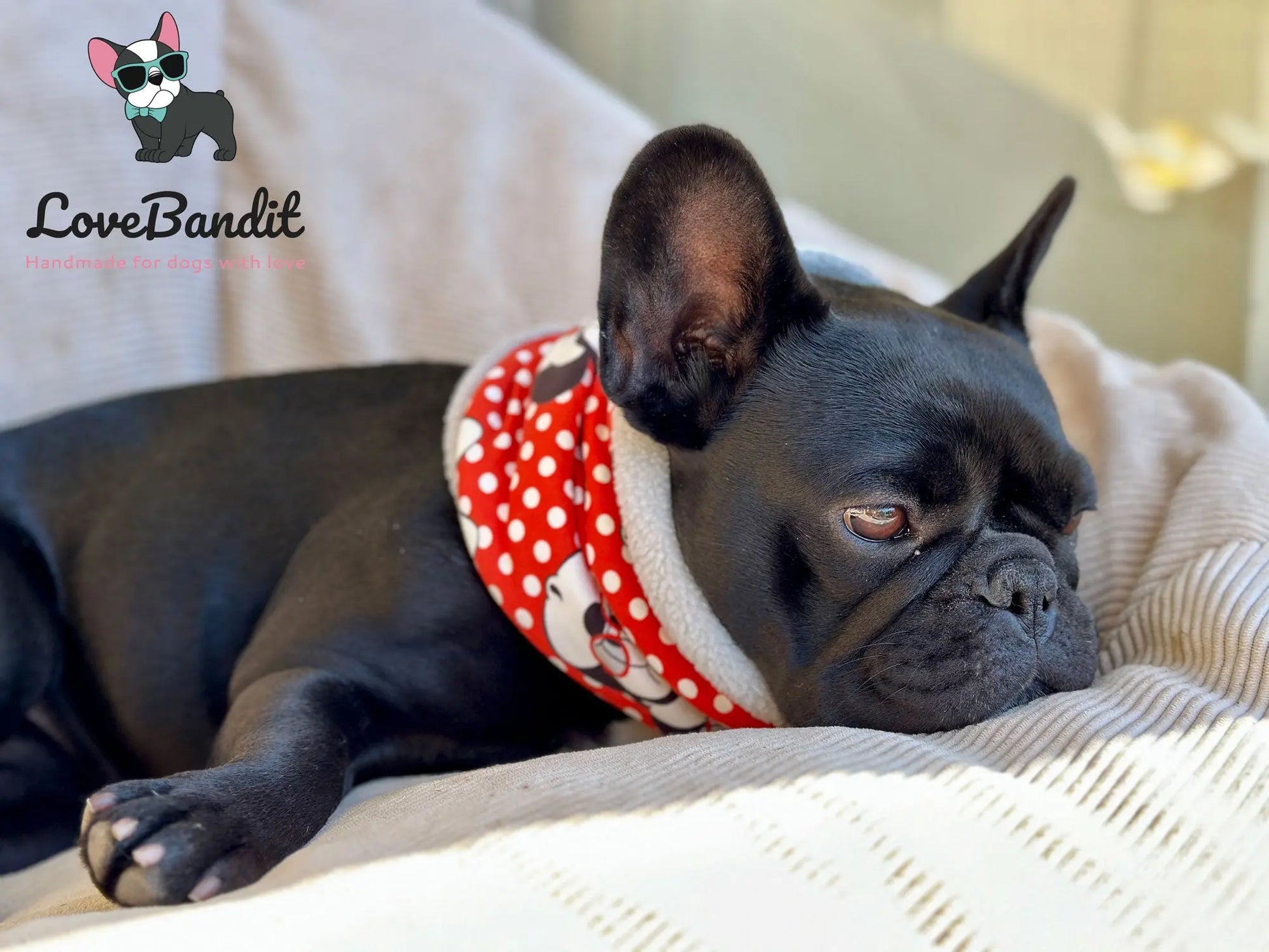 Hundeloop Hundeschal Tiere im Wald Grau - LoveBandit