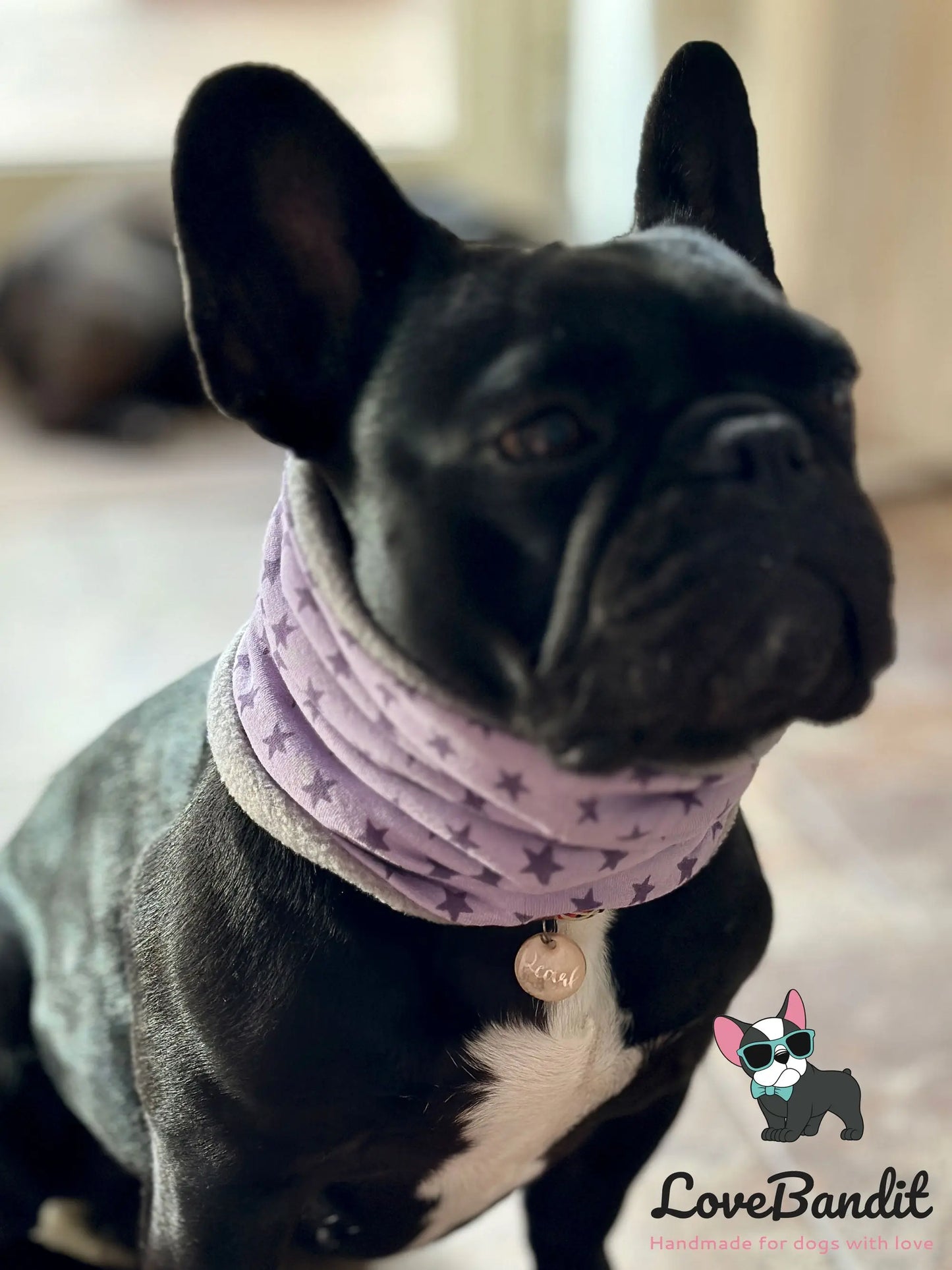 Hundeloop Hundeschal Boston Terrier rot - LoveBandit
