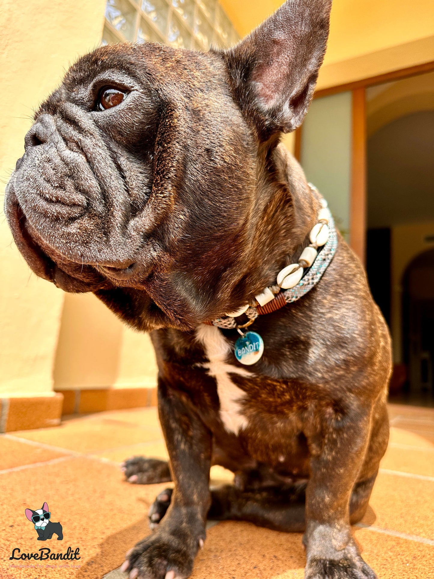 Besondere leichte Hundemarke Meer aus Resin Visitenkarte - LoveBandit