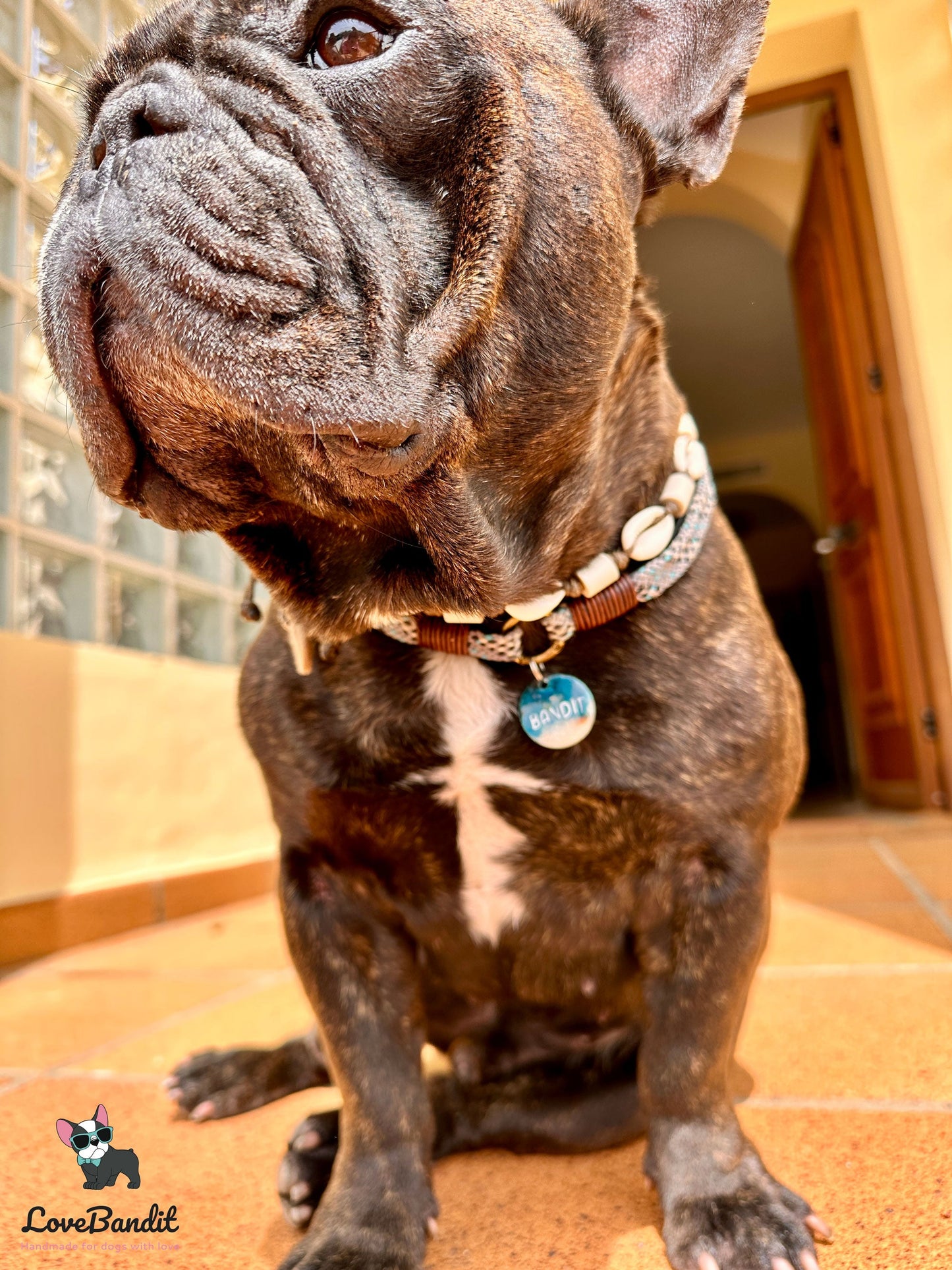 Besondere leichte Hundemarke Meer aus Resin Visitenkarte - LoveBandit