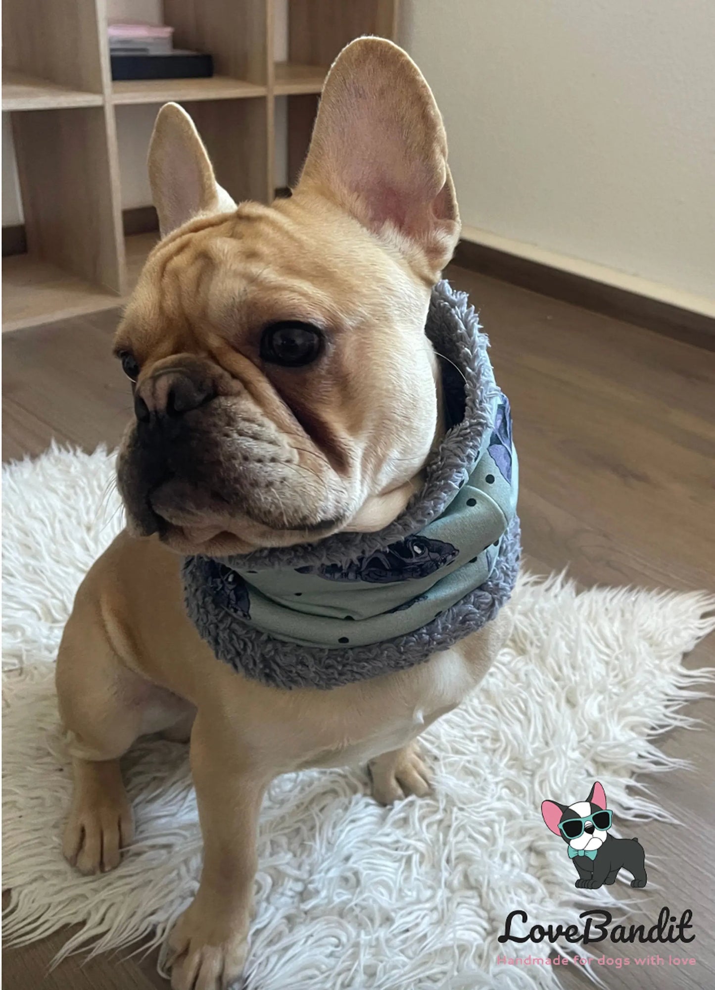 Hundeschal Hundeloop Französische Bulldogge Blau - LoveBandit
