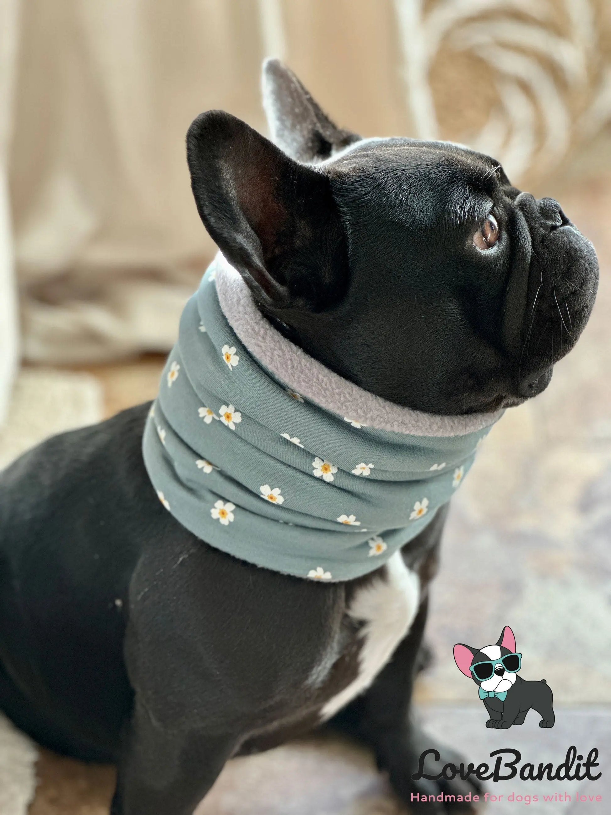 Hundeschal Hundeloop Französische Bulldogge Lindgrün - LoveBandit