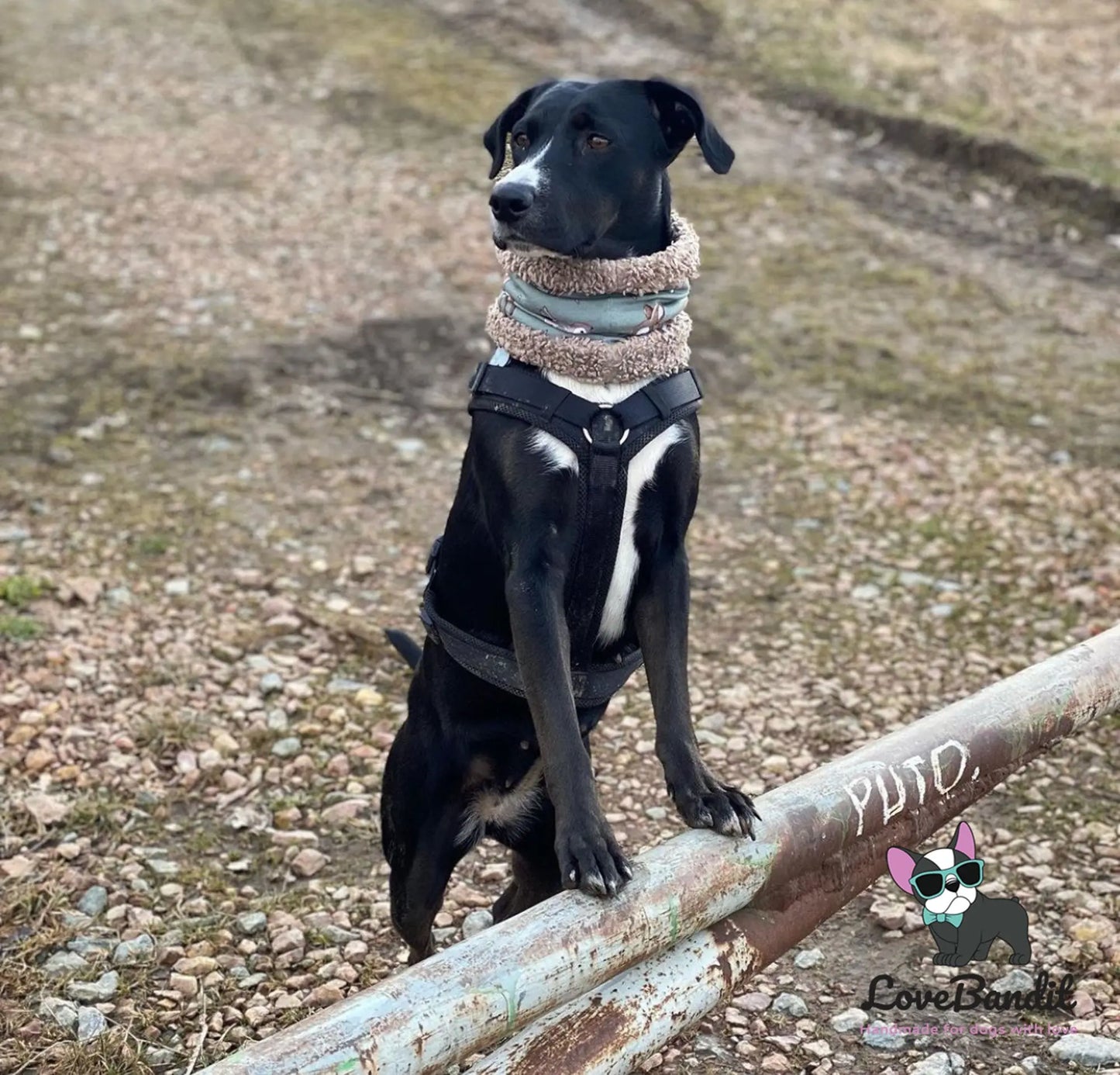 Hundeschal Hundeloop Reh Altgrün - LoveBandit