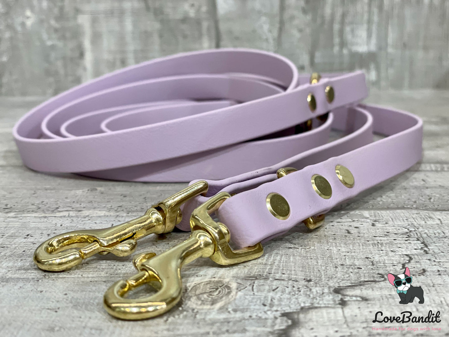 SET Hundeleine und Halsband "Heaven" aus BioThane® und Messing VEGAN - LoveBandit