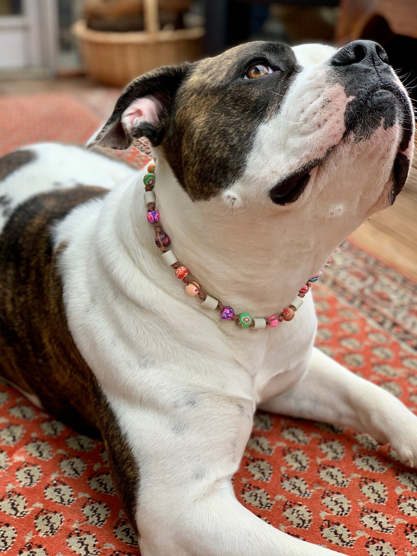 EM-Keramik Halsband Bunte Perlen mit Anhänger - LoveBandit