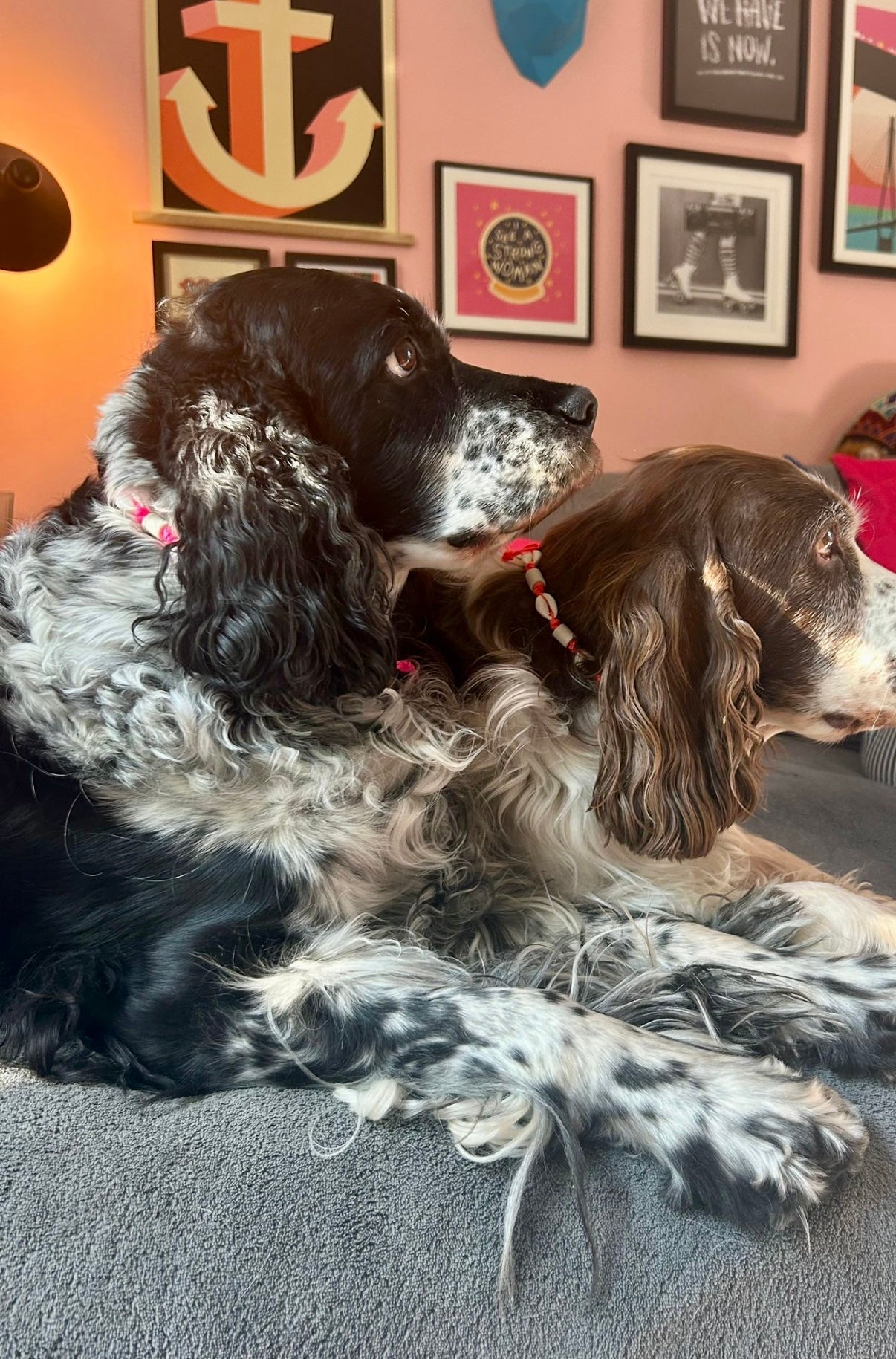 EM-Keramik Halsband Muscheln NEON verstellbar Lovebandit